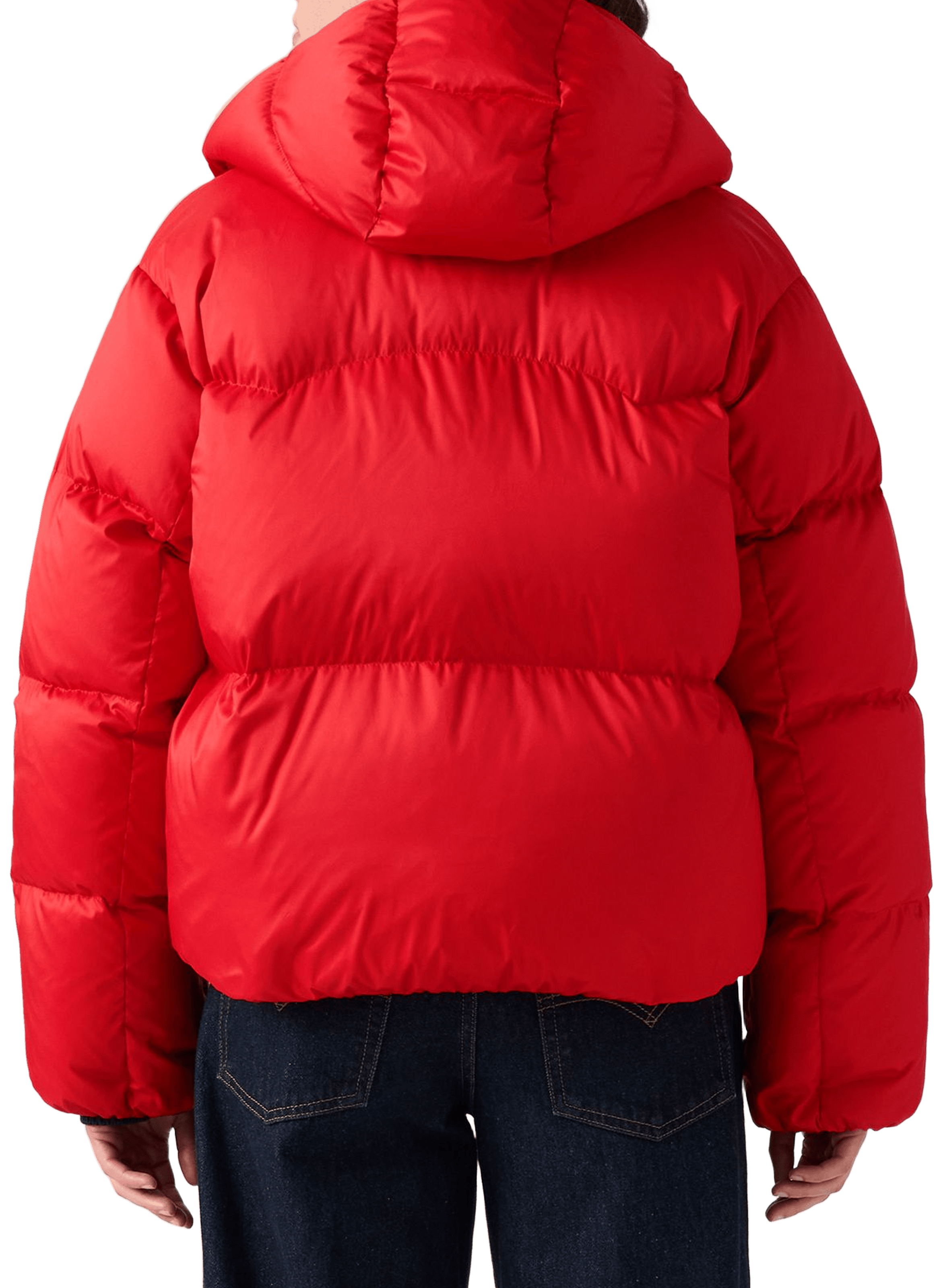 Doudoune matelassée LEVI'S Rouge