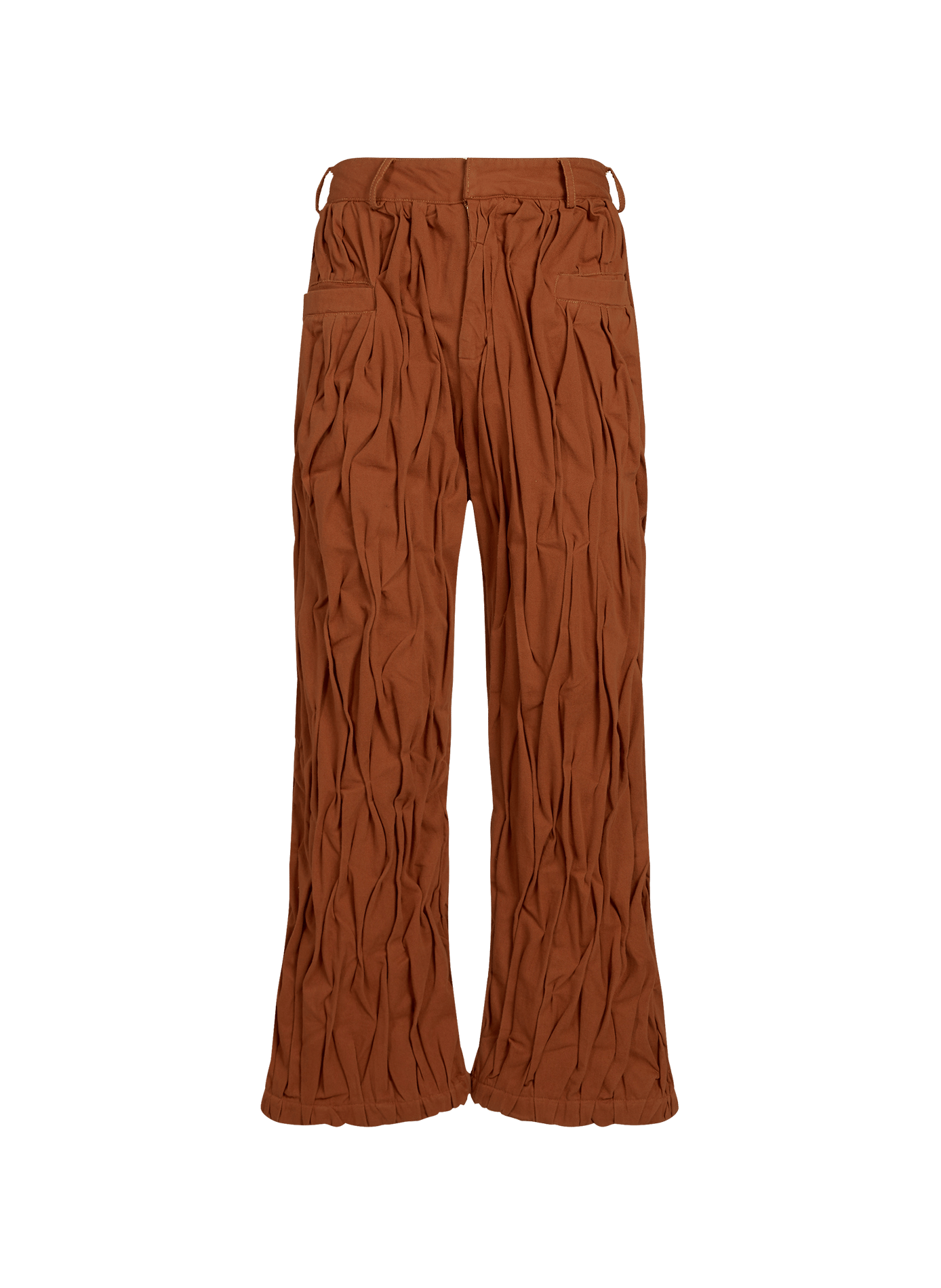 Storm pleated cotton pants CAMPILLO Brown