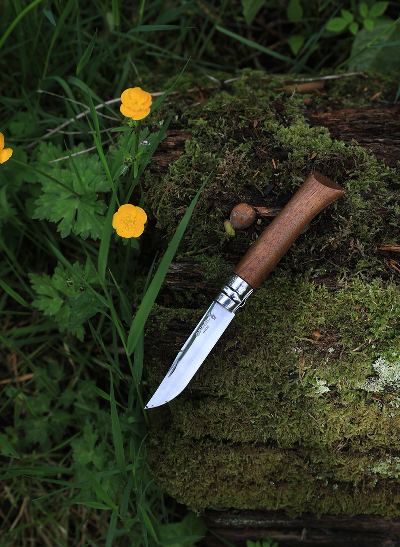 Couteau de poche en acier inoxydable OPINEL Marron
