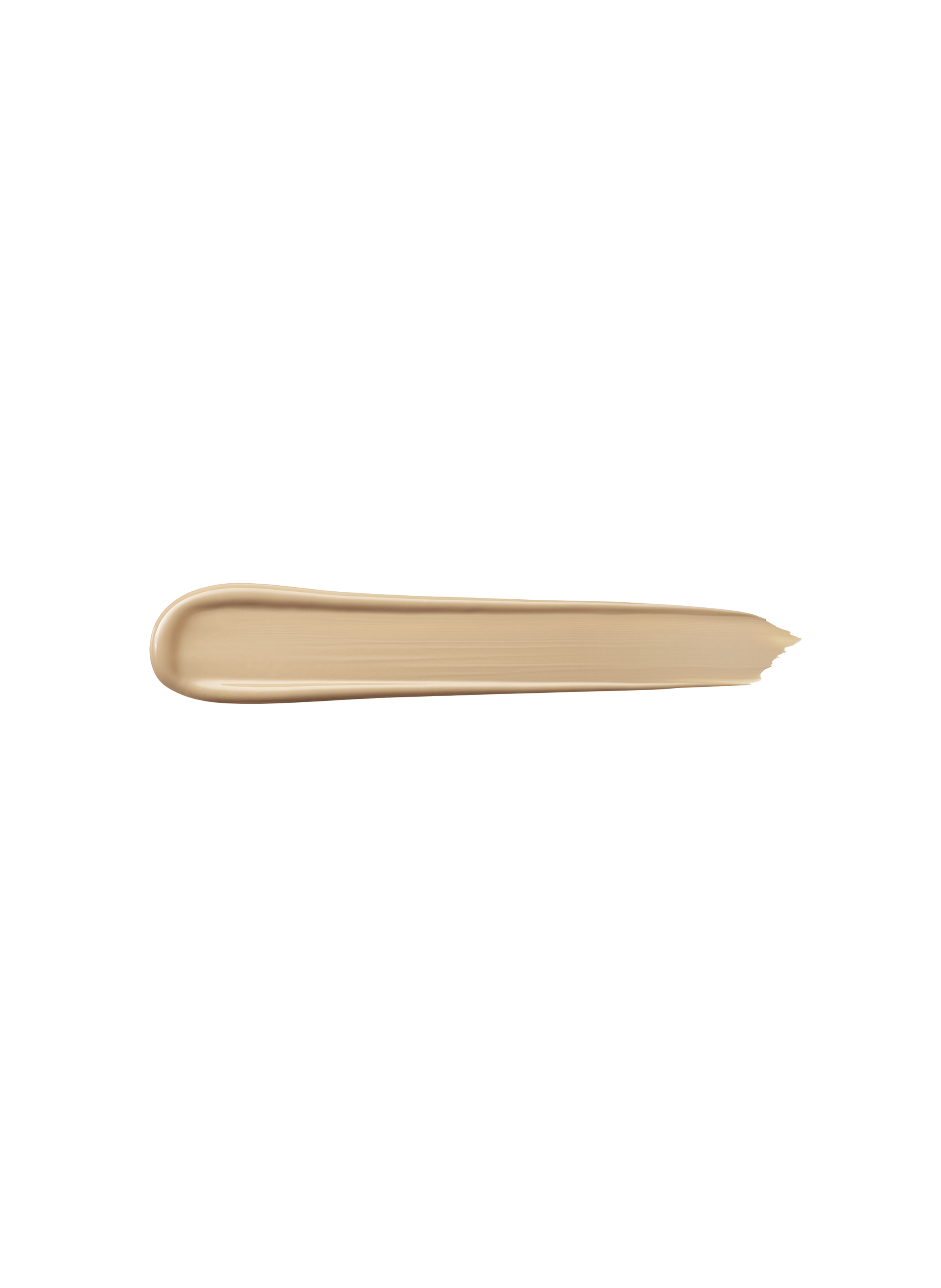 Teint Idole 2-in-1 concealer and foundation - 24h wear and hydration 048 beige châtaigne
