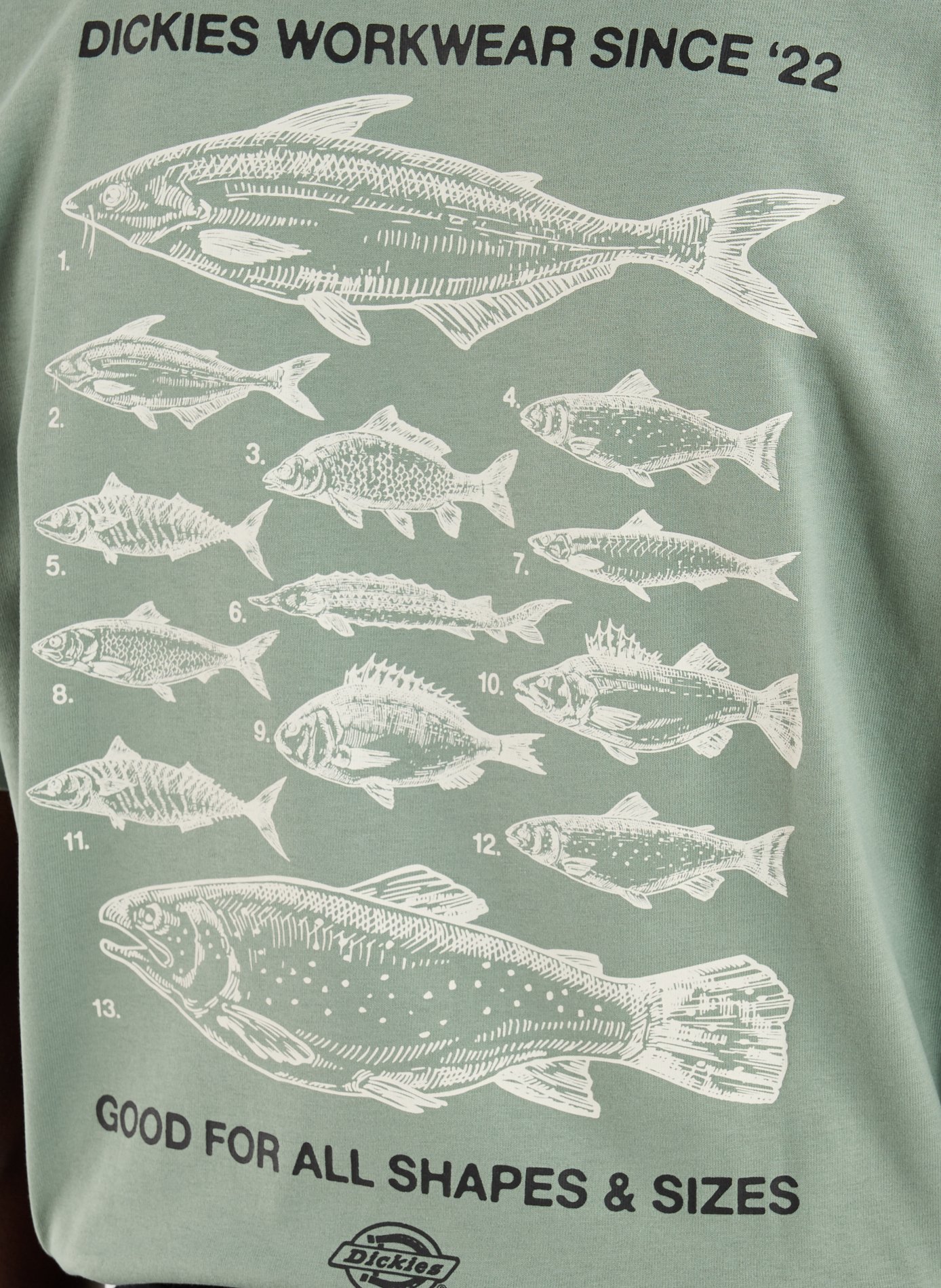 Printed cotton T-shirt DICKIES Green