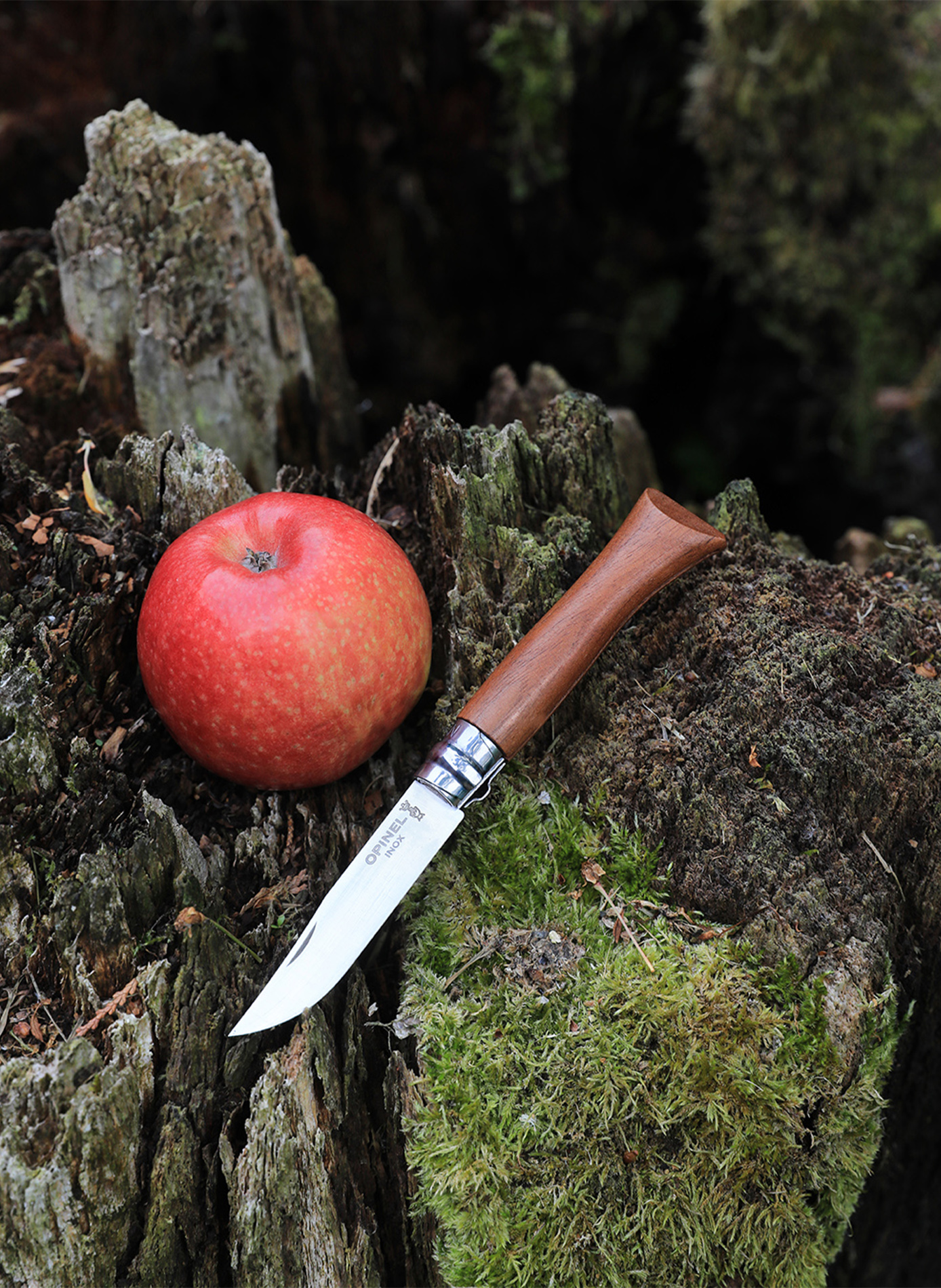 Couteau de poche en acier inoxydable OPINEL Marron