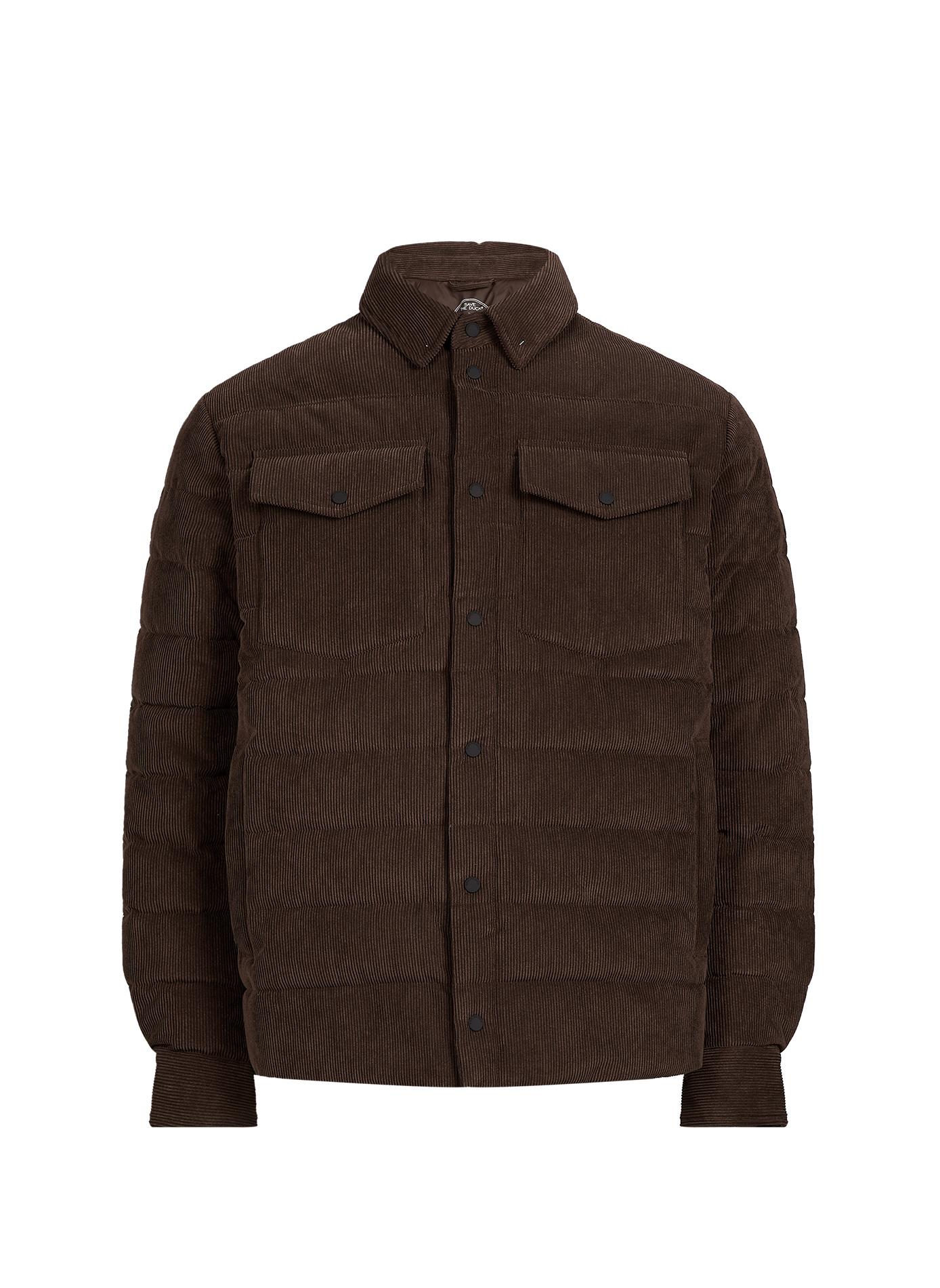 Blouson Jens droit côtelé  SAVE THE DUCK Marron