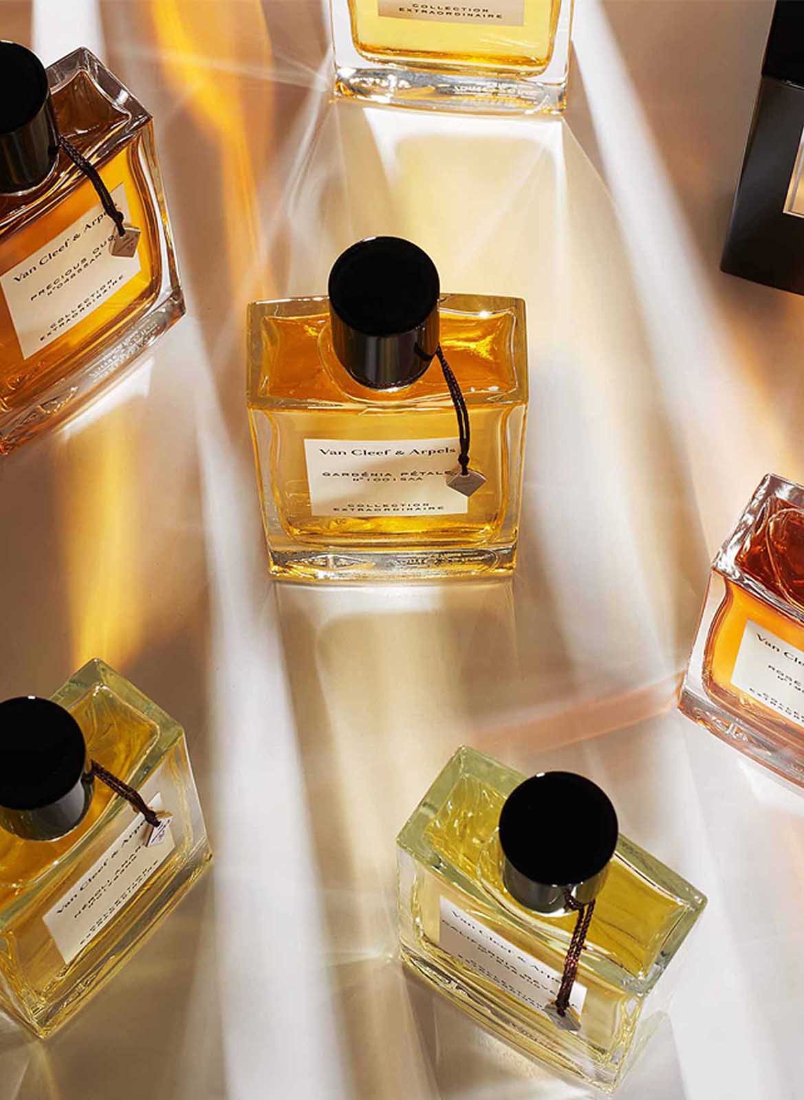 Eau de parfum - Imperial Amber VAN CLEEF & ARPELS No color