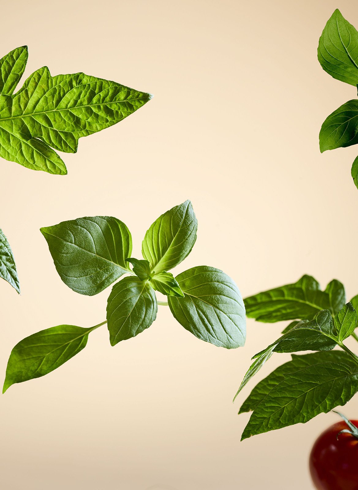 White Basil - Bougie Parfumée RITUALS No color