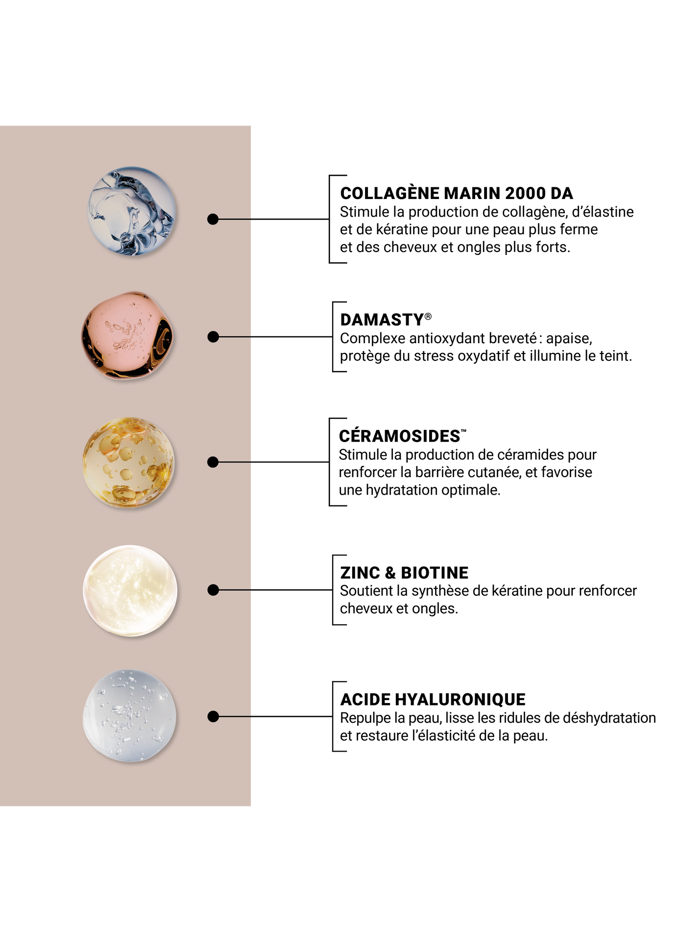 360 Beauty Concentrate - Vanilla flavor NOOANCE No color