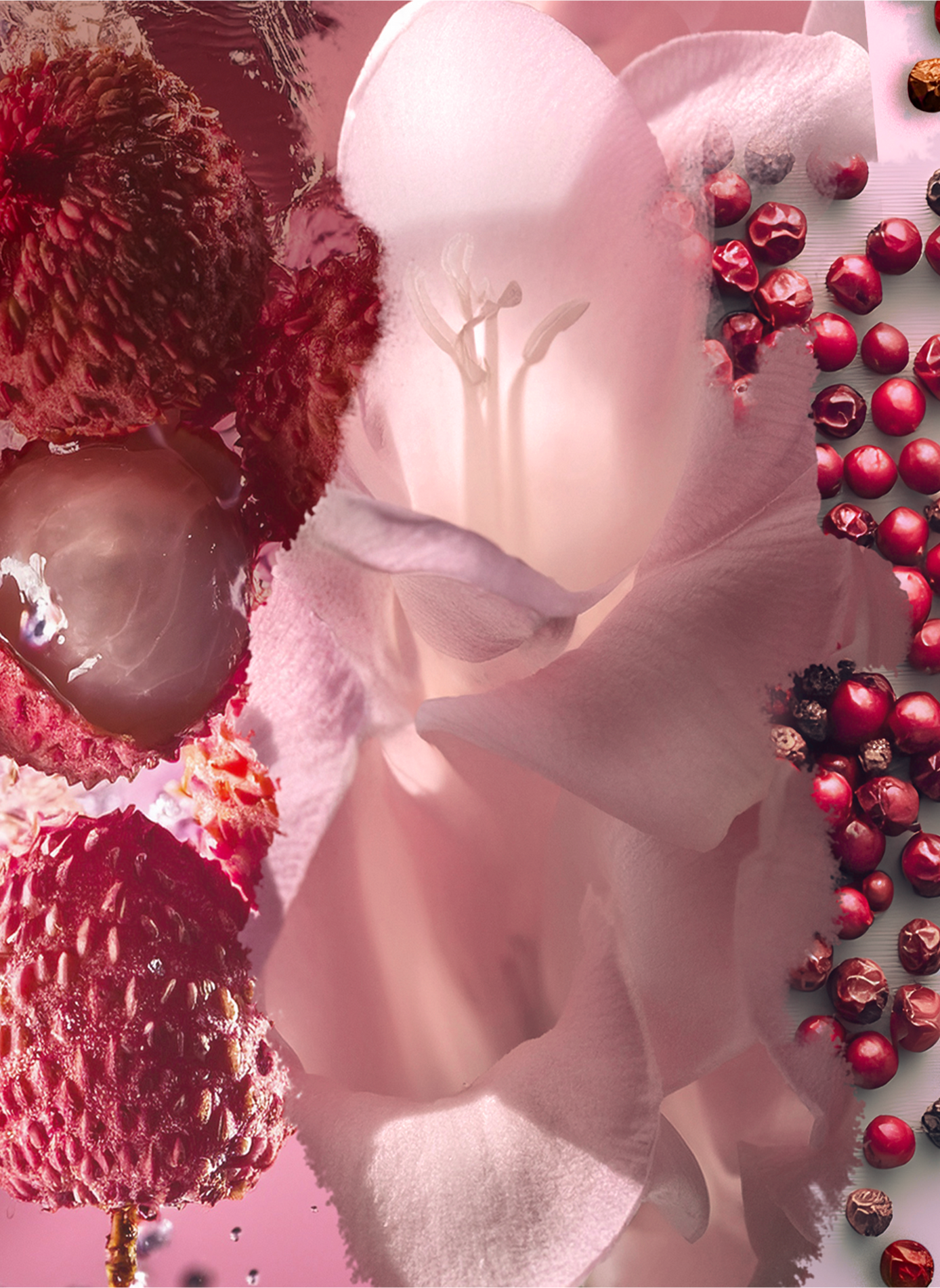 Eau de parfum - Petal L'ATELIER PARFUM No color