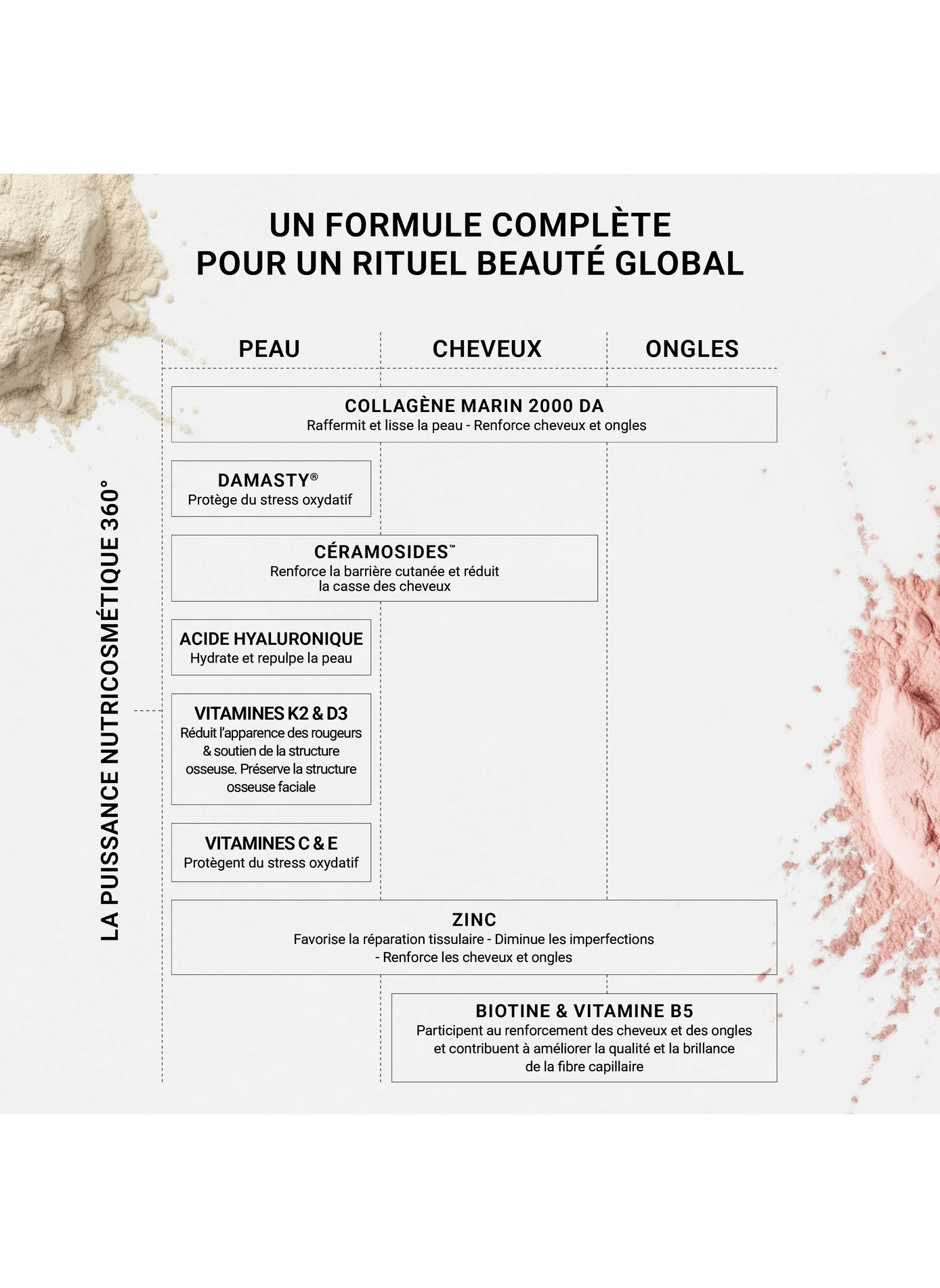 360 Beauty Concentrate - Vanilla flavor NOOANCE No color