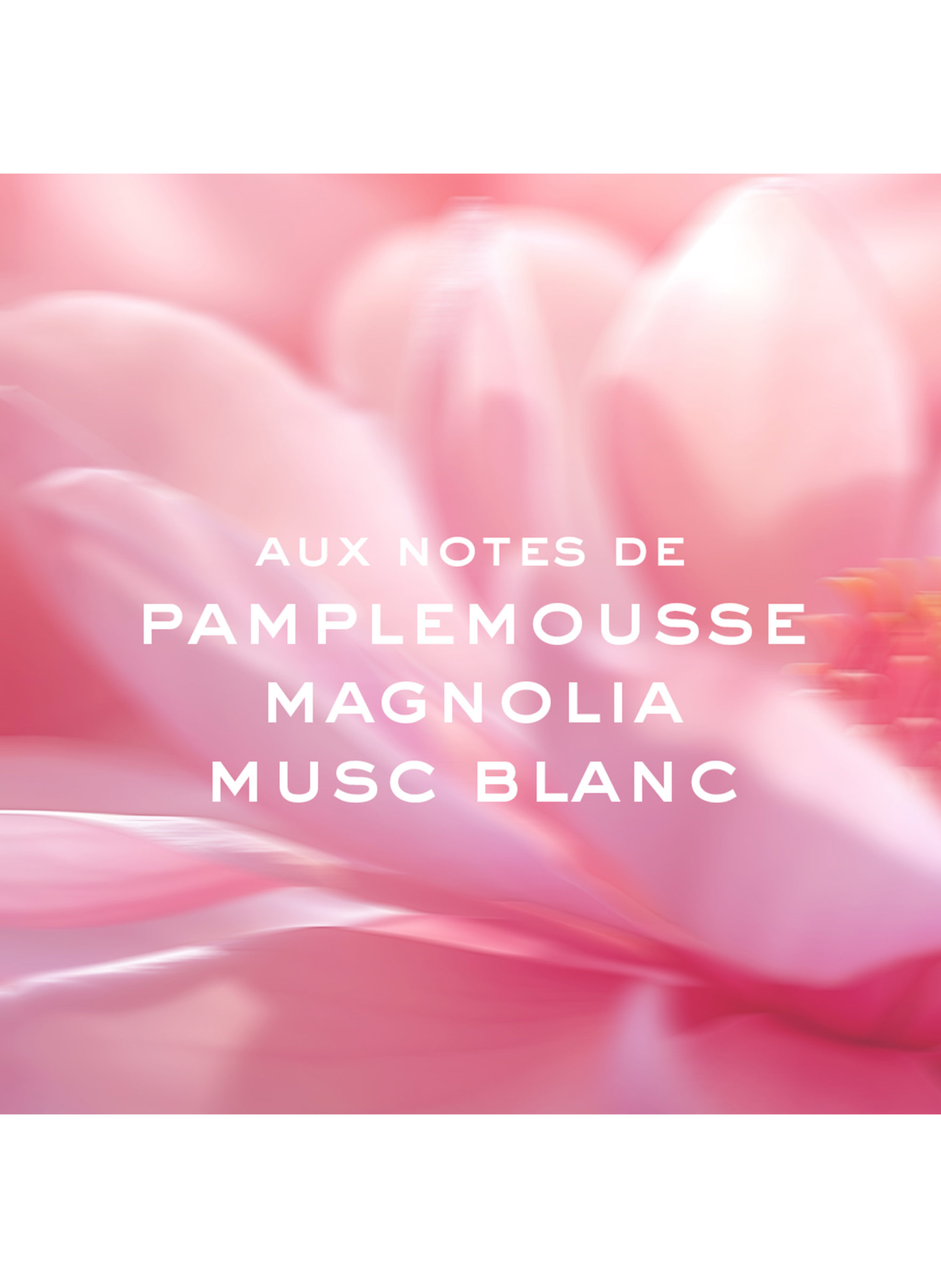 Floral Prodigieuse® Roll-On Oil NUXE No color