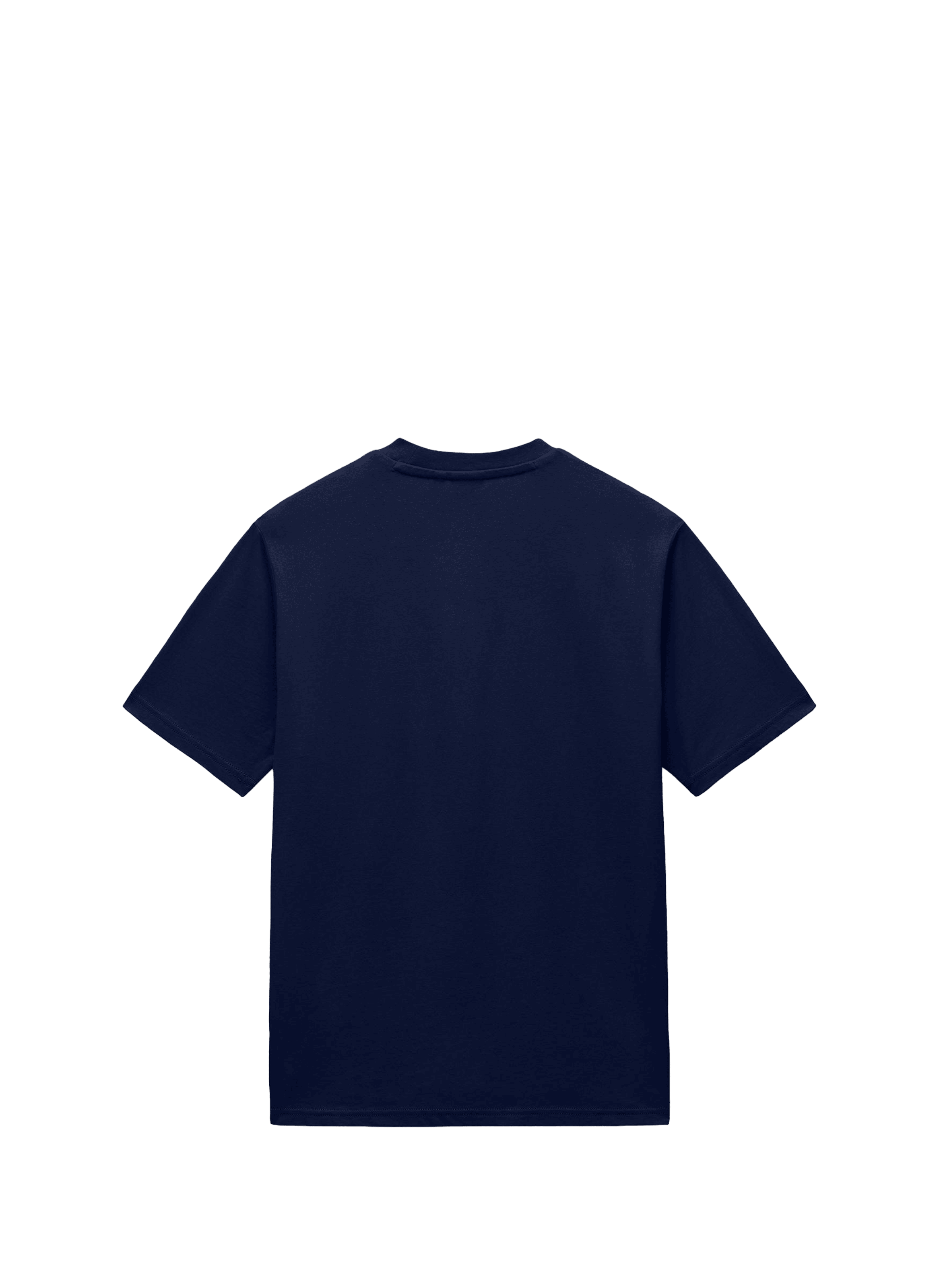 T-shirt imprimé Phos en coton NAPAPIJRI Bleu