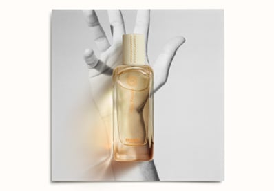 Image d'illustration