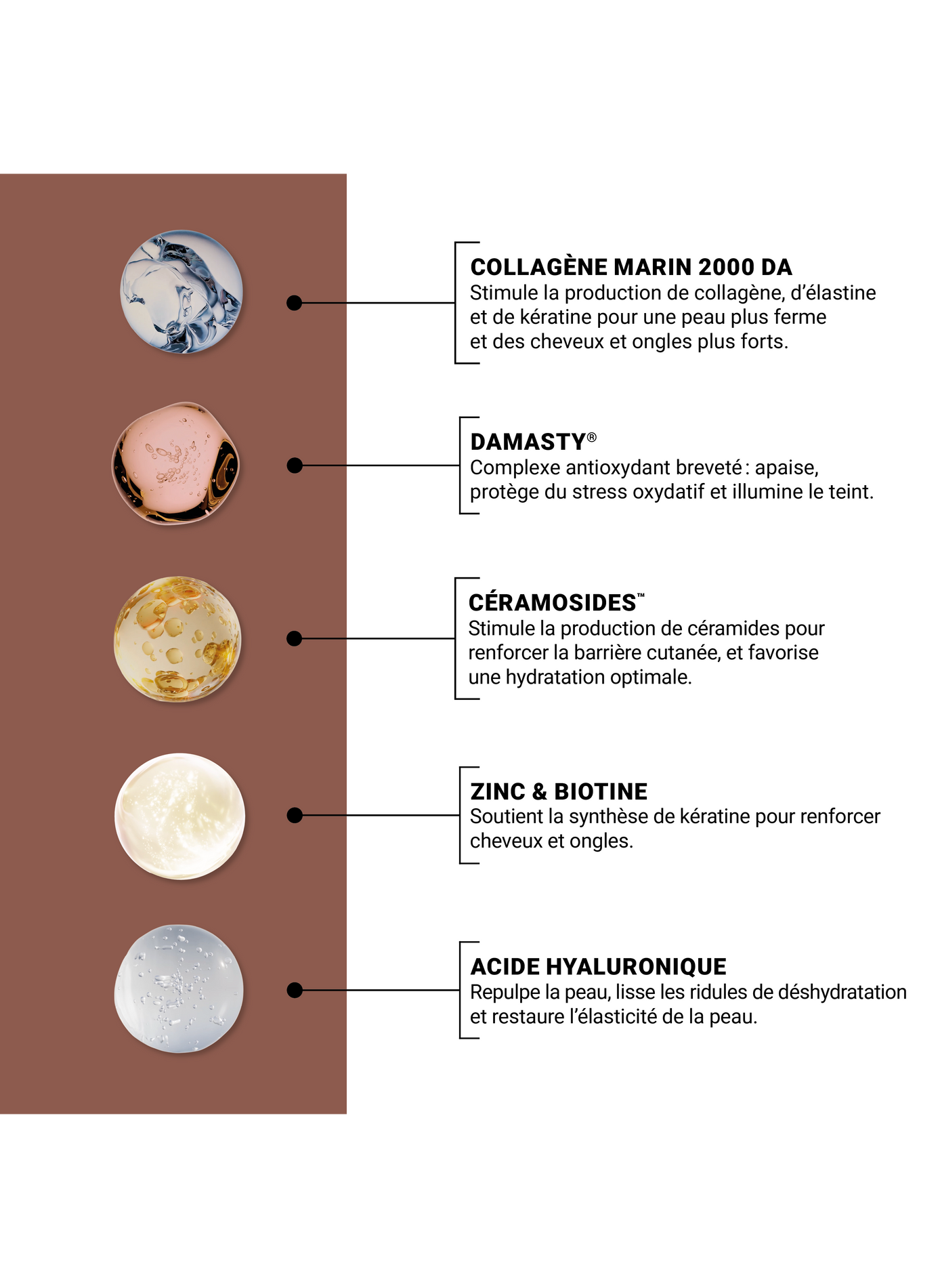 360 Beauty Concentrate - Cocoa flavor NOOANCE No color