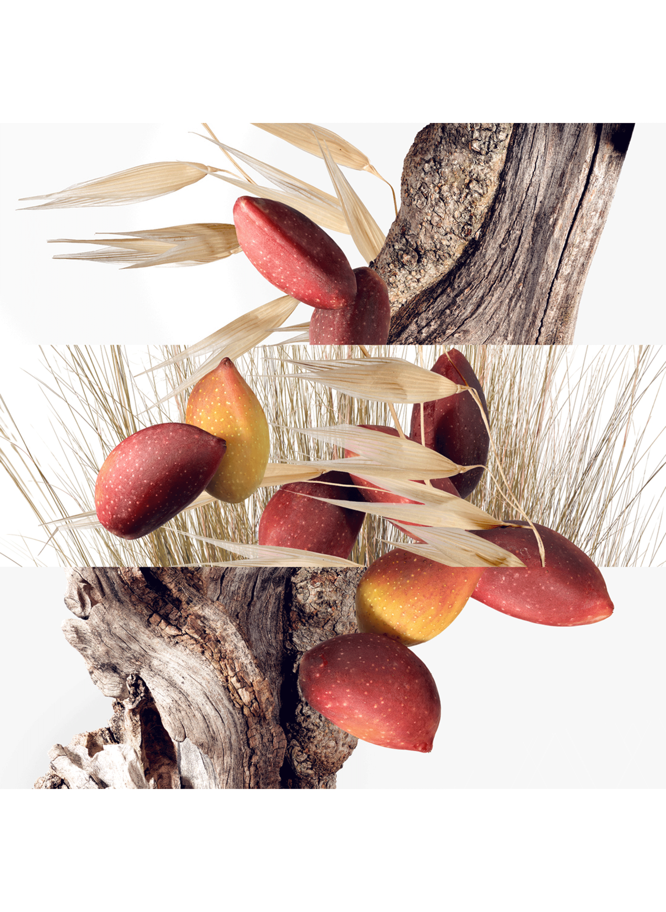 Un Jardin à Cythère, Recharge Eau de Toilette HERMÈS No color