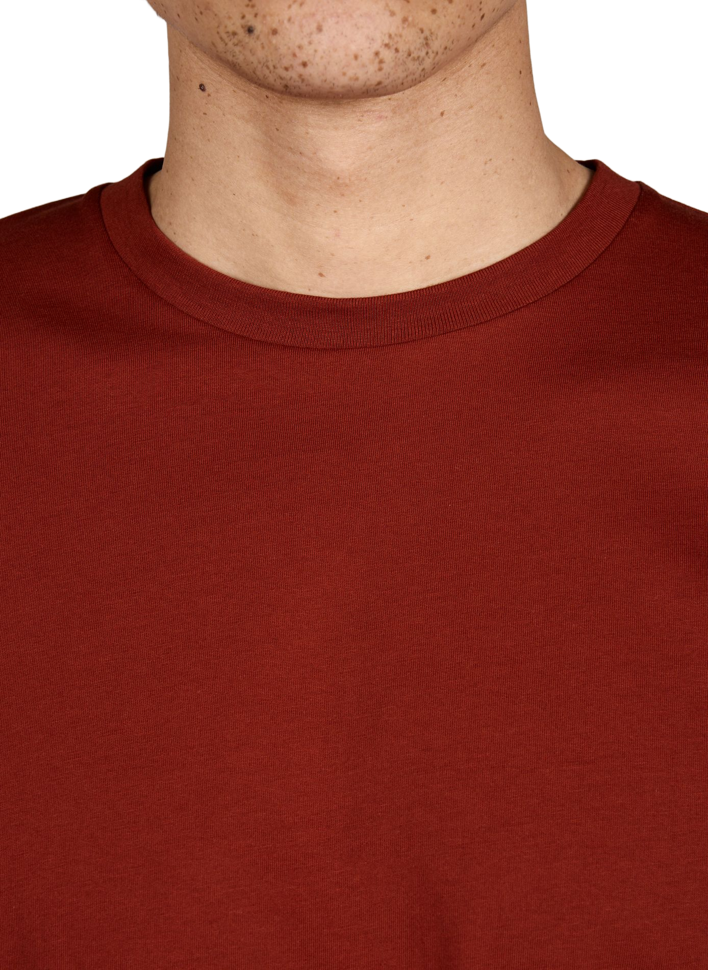 T-shirt Jeff-O in cotton AU PRINTEMPS PARIS Brown