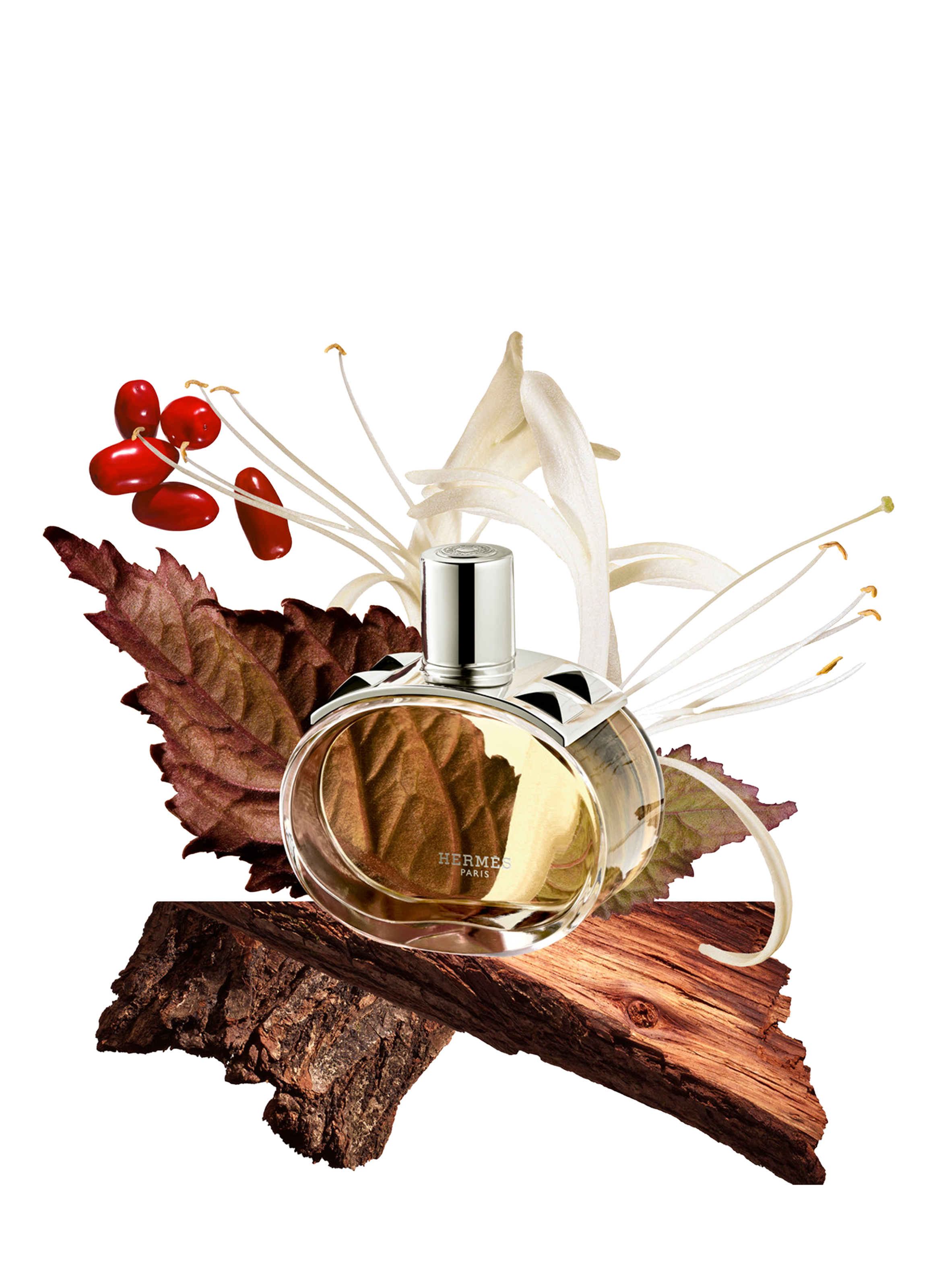 Barénia - Recharge Eau de parfum HERMÈS No color