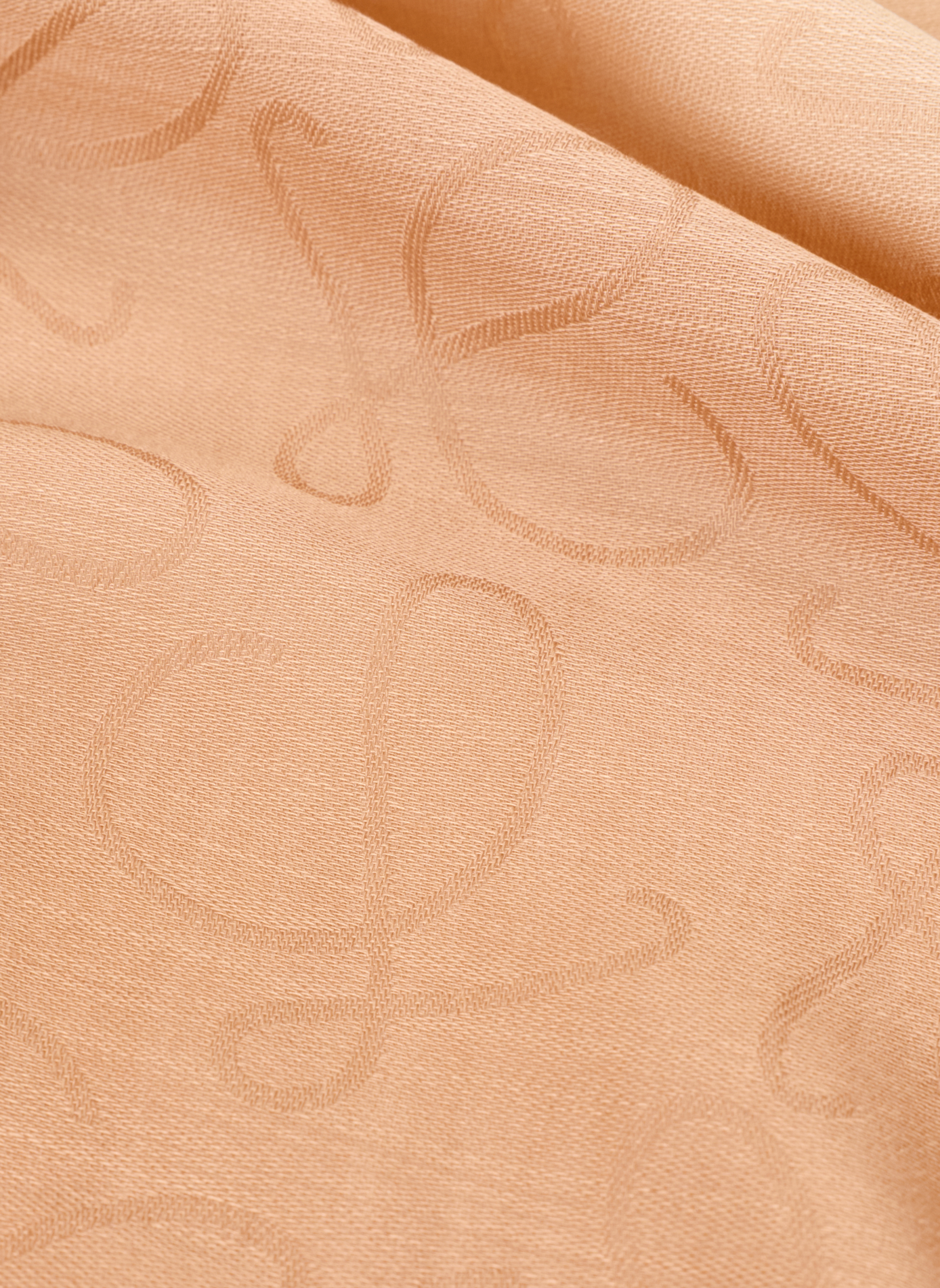 Jacquard-Schal aus Wolle und Seide LOEWE Beige