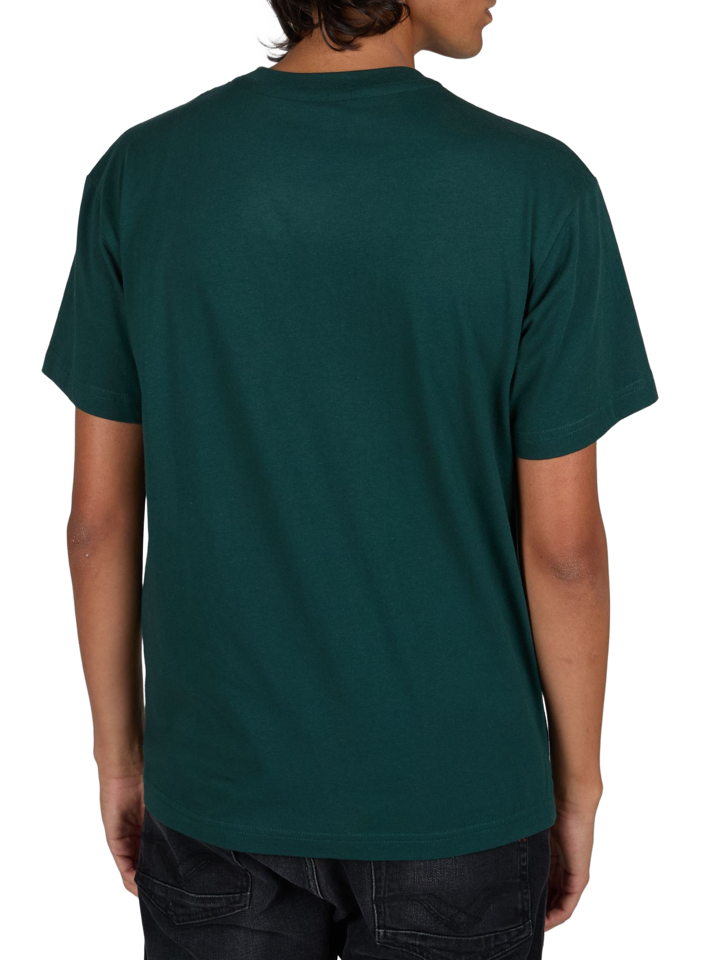 Gerader Rundhalsausschnitt aus Baumwolle-T-Shirt REPLAY Grun