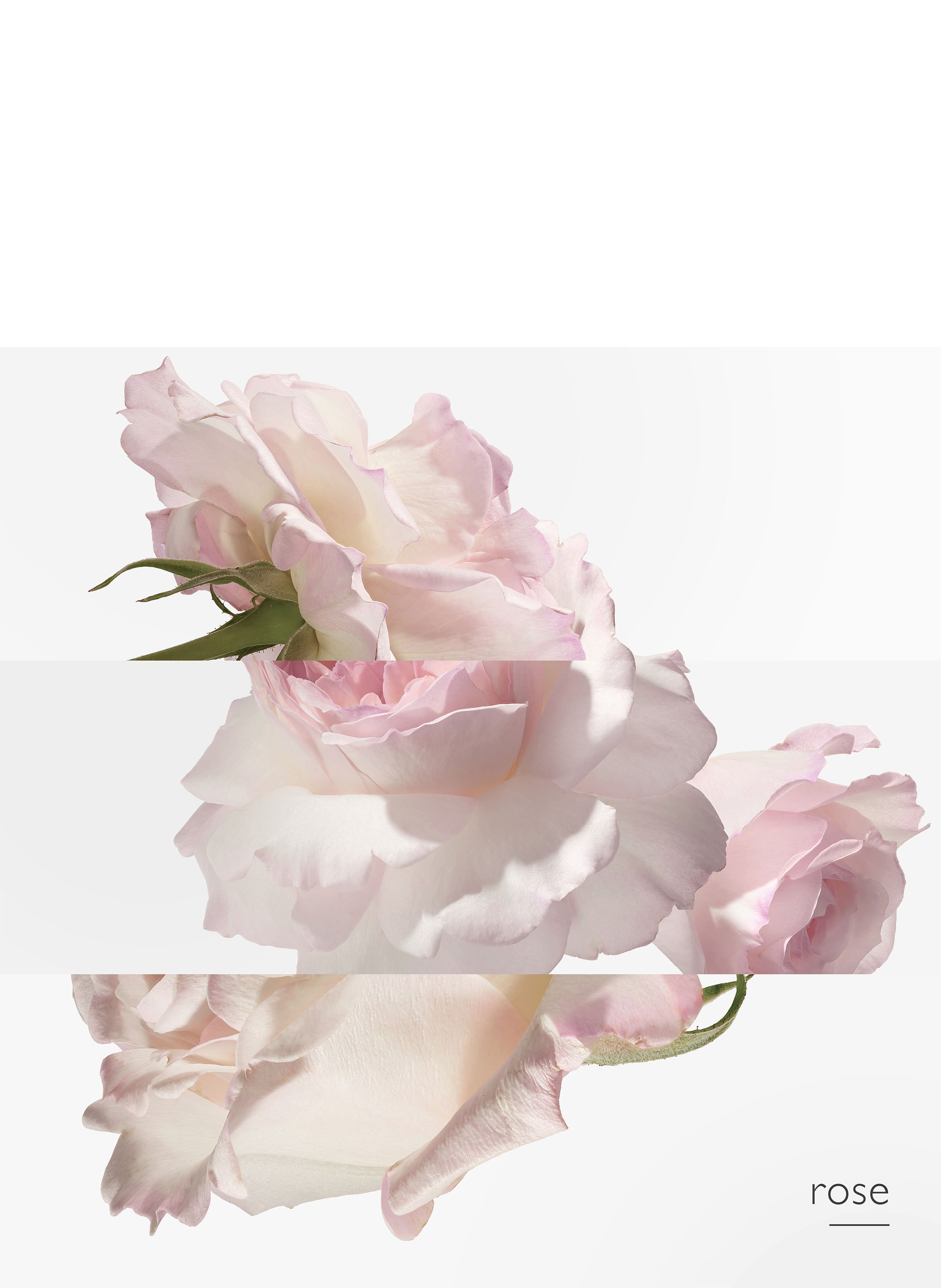 Eau de pamplemousse rose, Eau de cologne HERMÈS No color