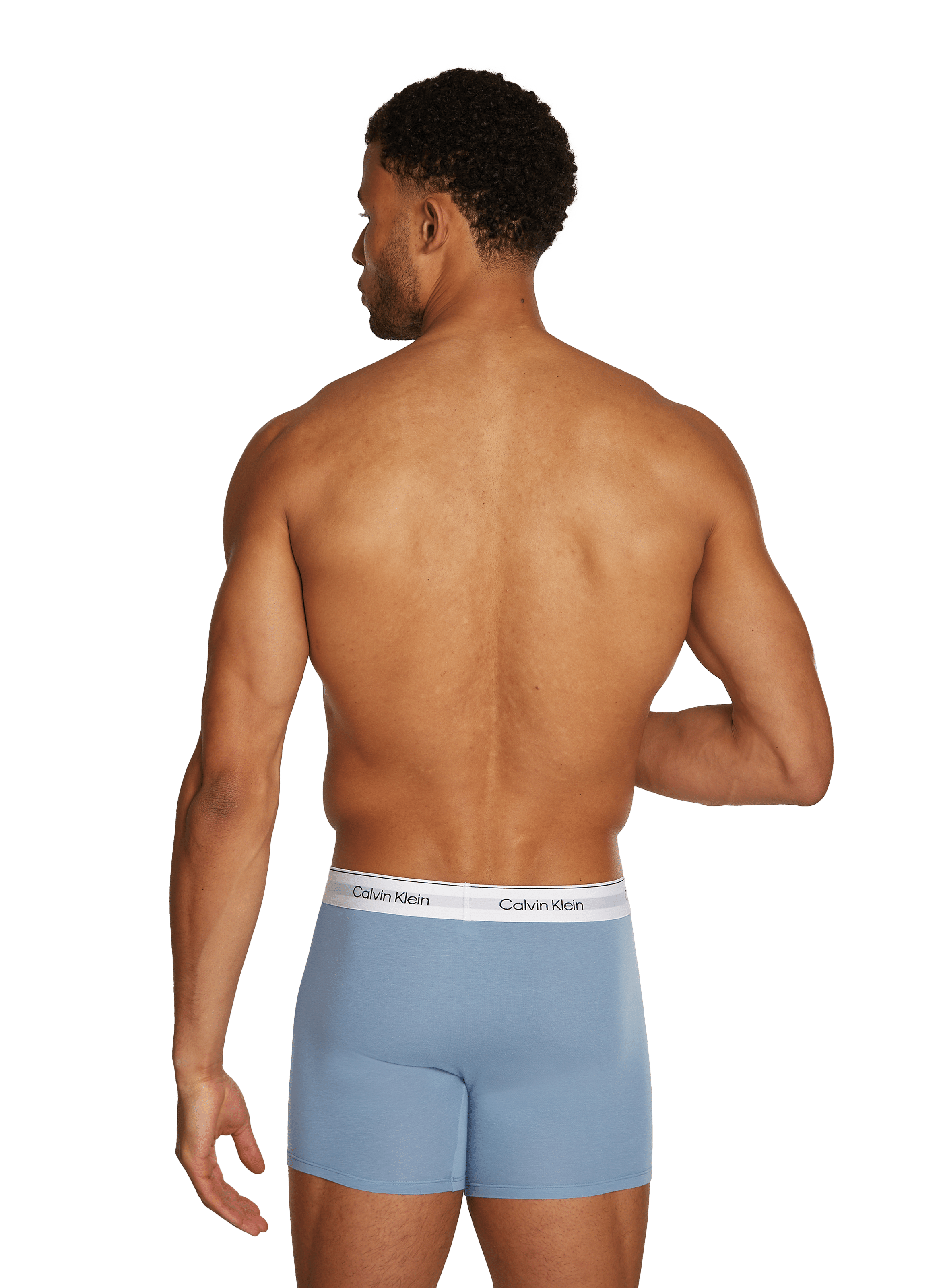 Lot de trois boxer en coton  CALVIN KLEIN Multicolore