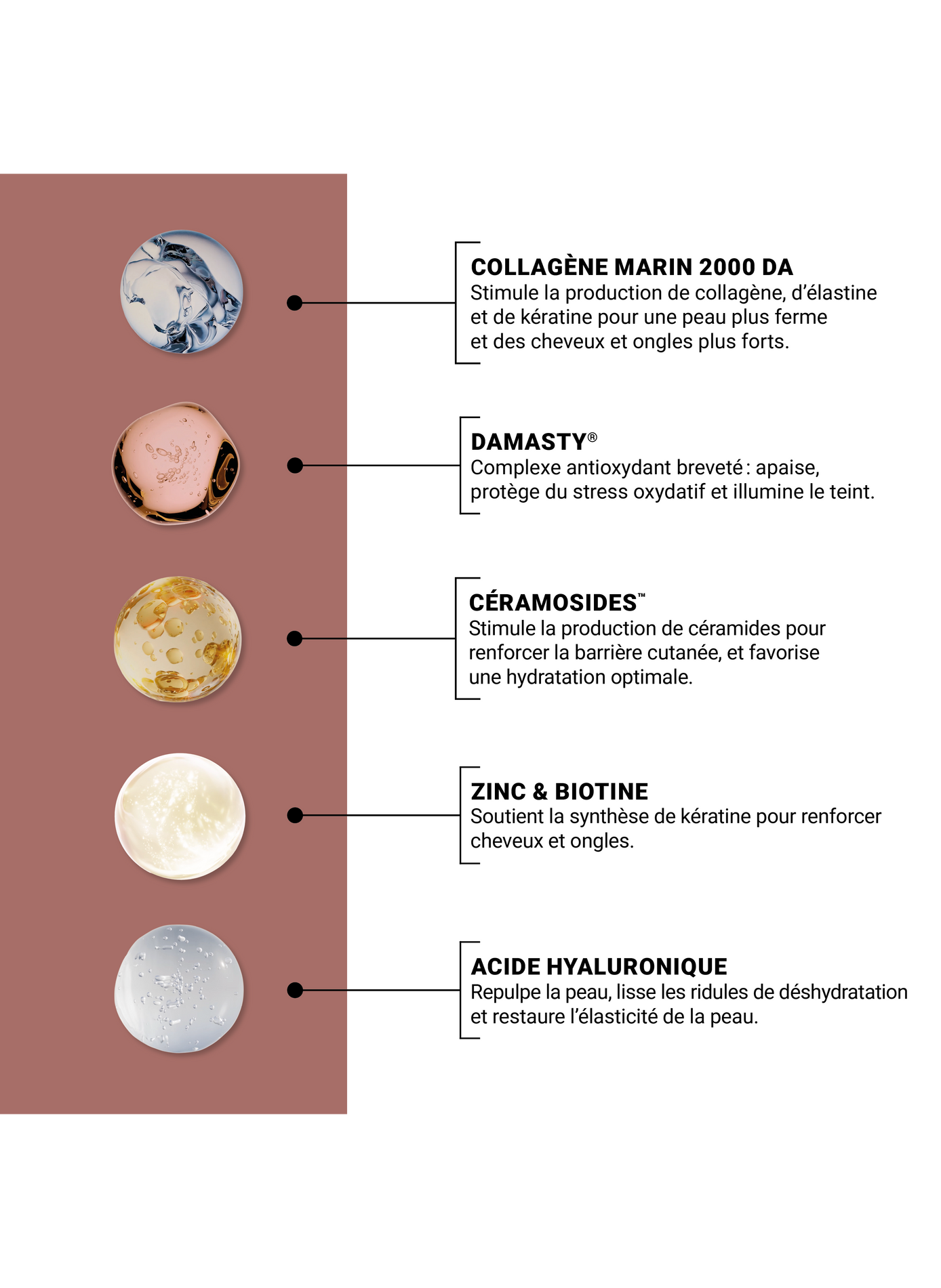 360 Beauty Concentrate - Red Fruits Flavor NOOANCE No color