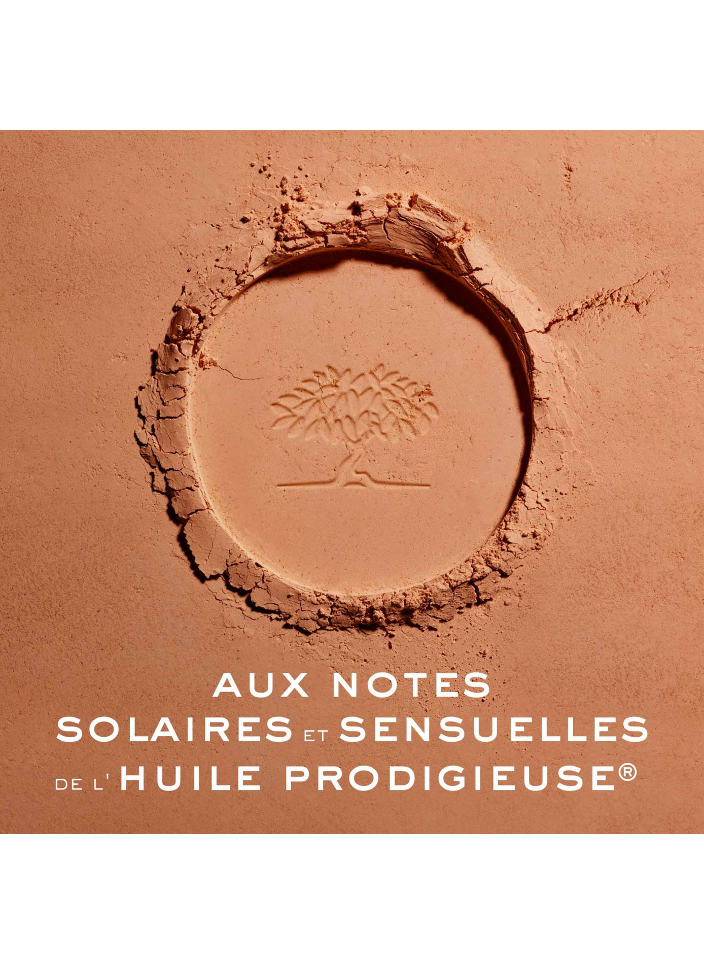 Prodigieux® Multi-purpose bronzing powder NUXE No color