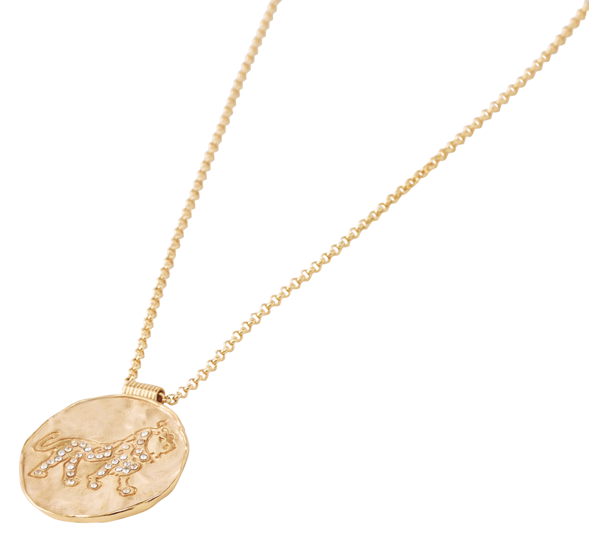 Collier à médaille signe astrologique  Lion