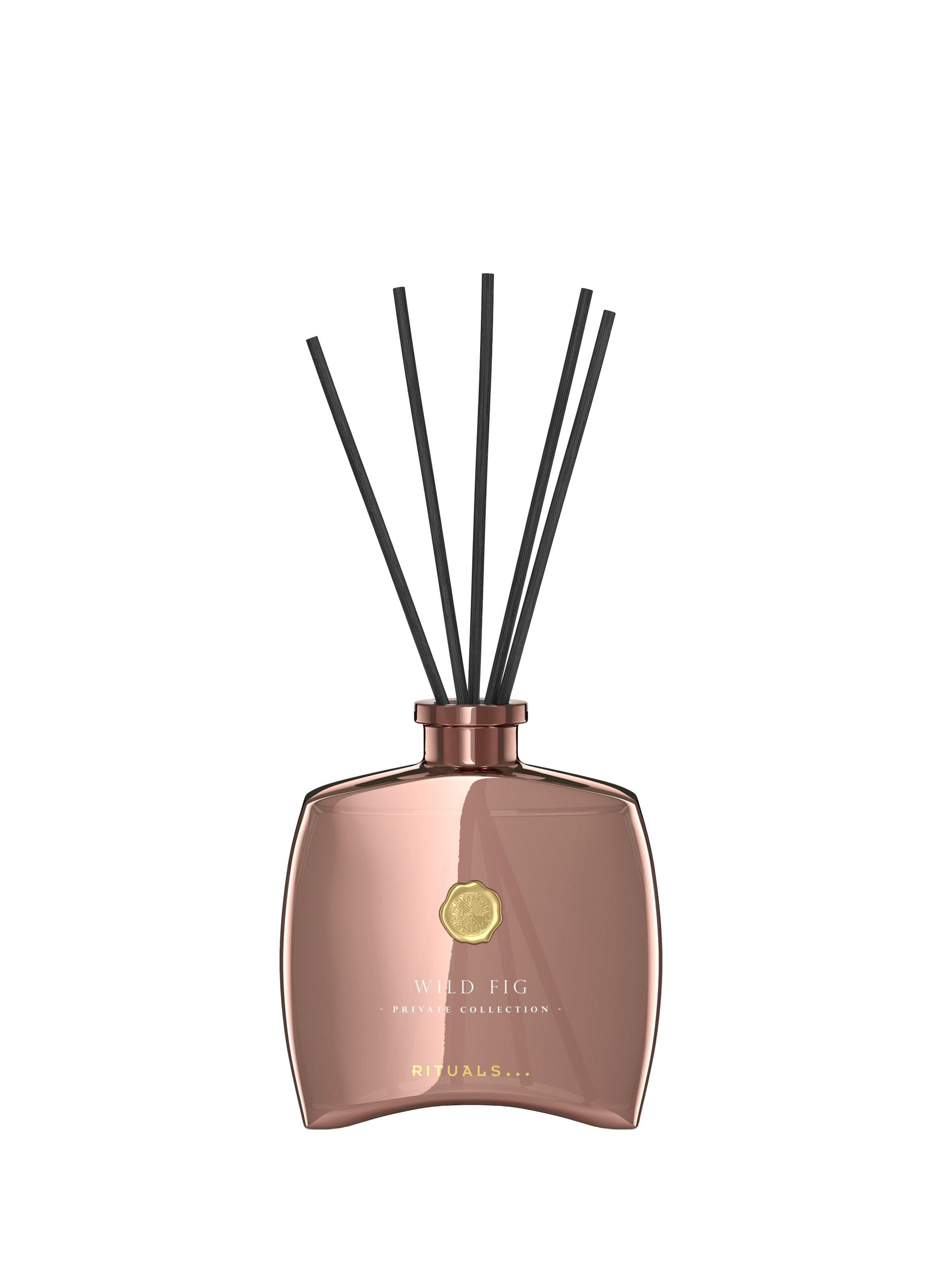 Wild Fig - Mini Bâtonnets Parfumés RITUALS No color