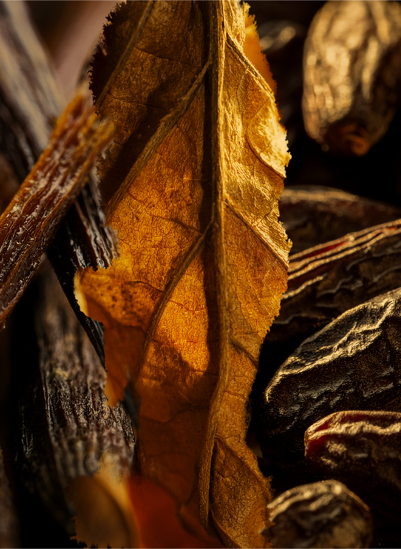 Eau de parfum - Tobacco Volute

 L'ATELIER PARFUM No color