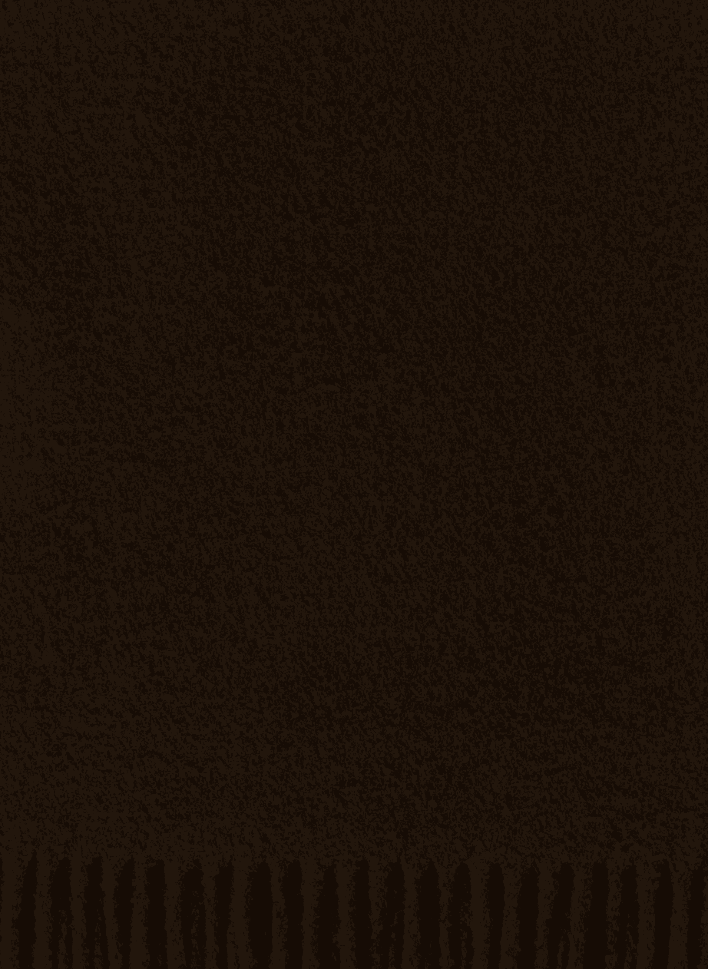 Echarpe à franges en laine OUR LEGACY Noir