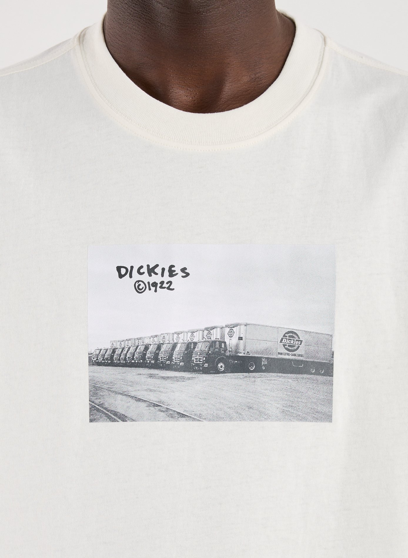 Straight-fit cotton T-shirt DICKIES White