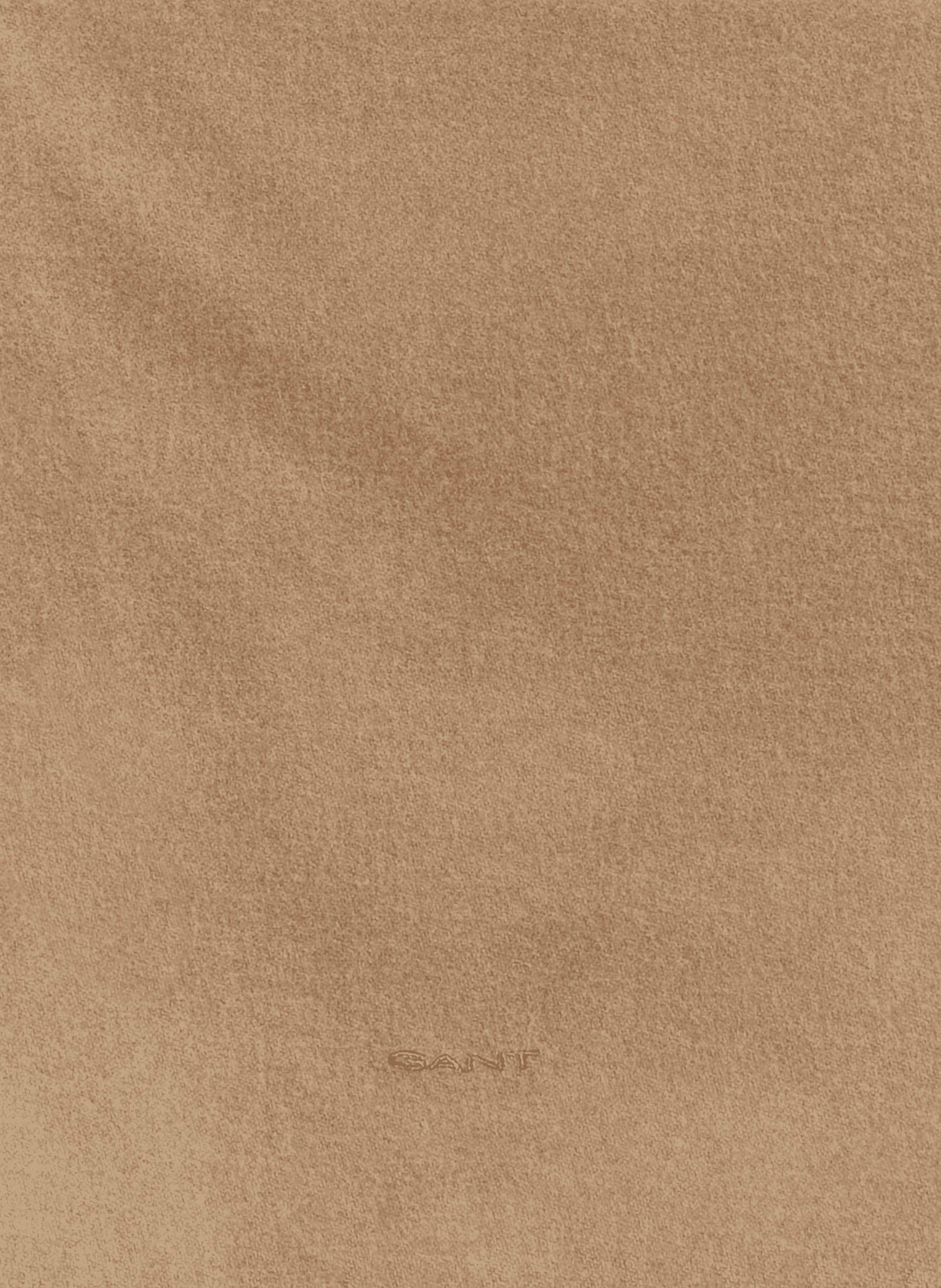 Fringed wool scarf GANT Beige