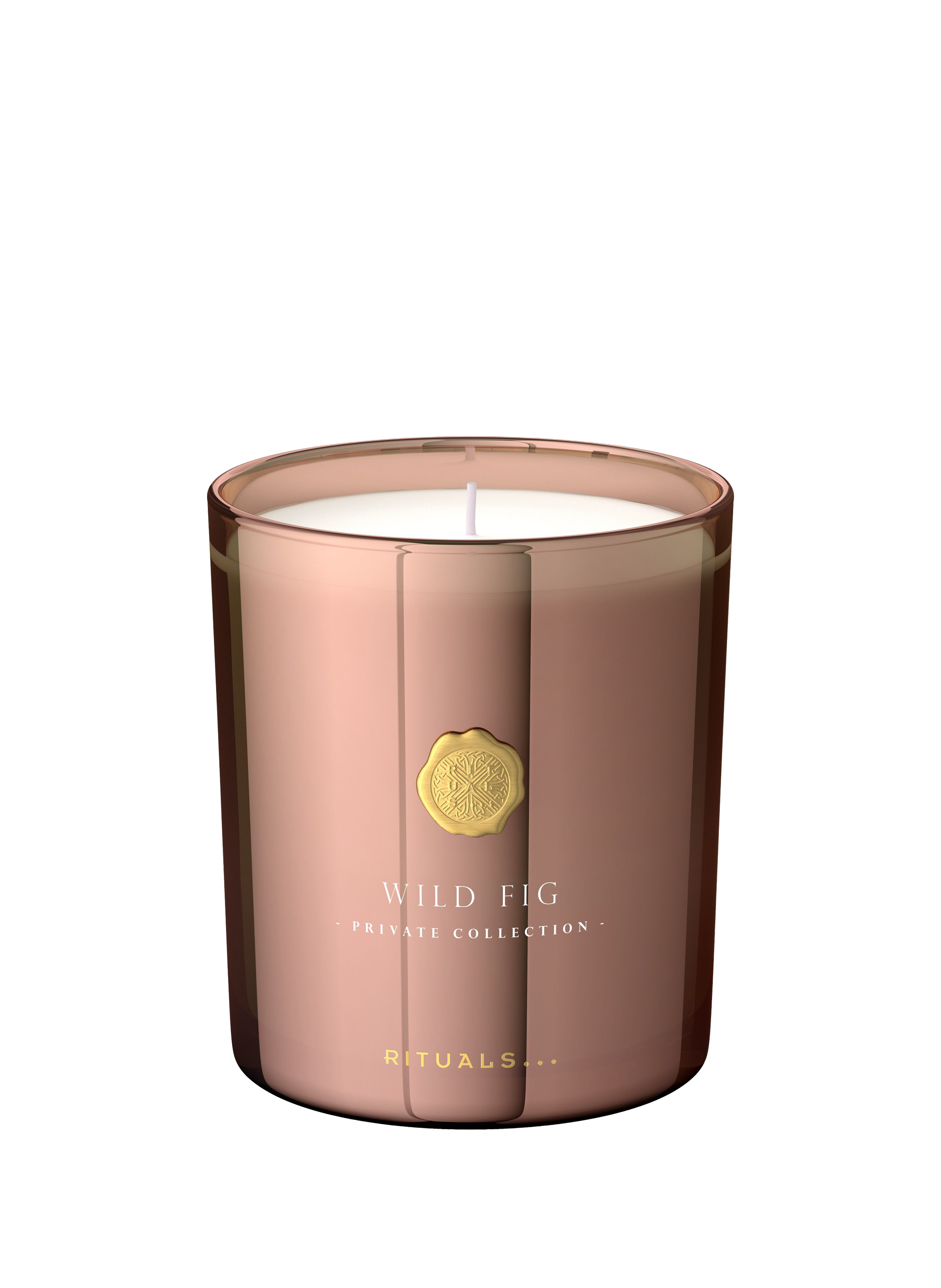 RITUALS Wild Fig - Scented Candle No color