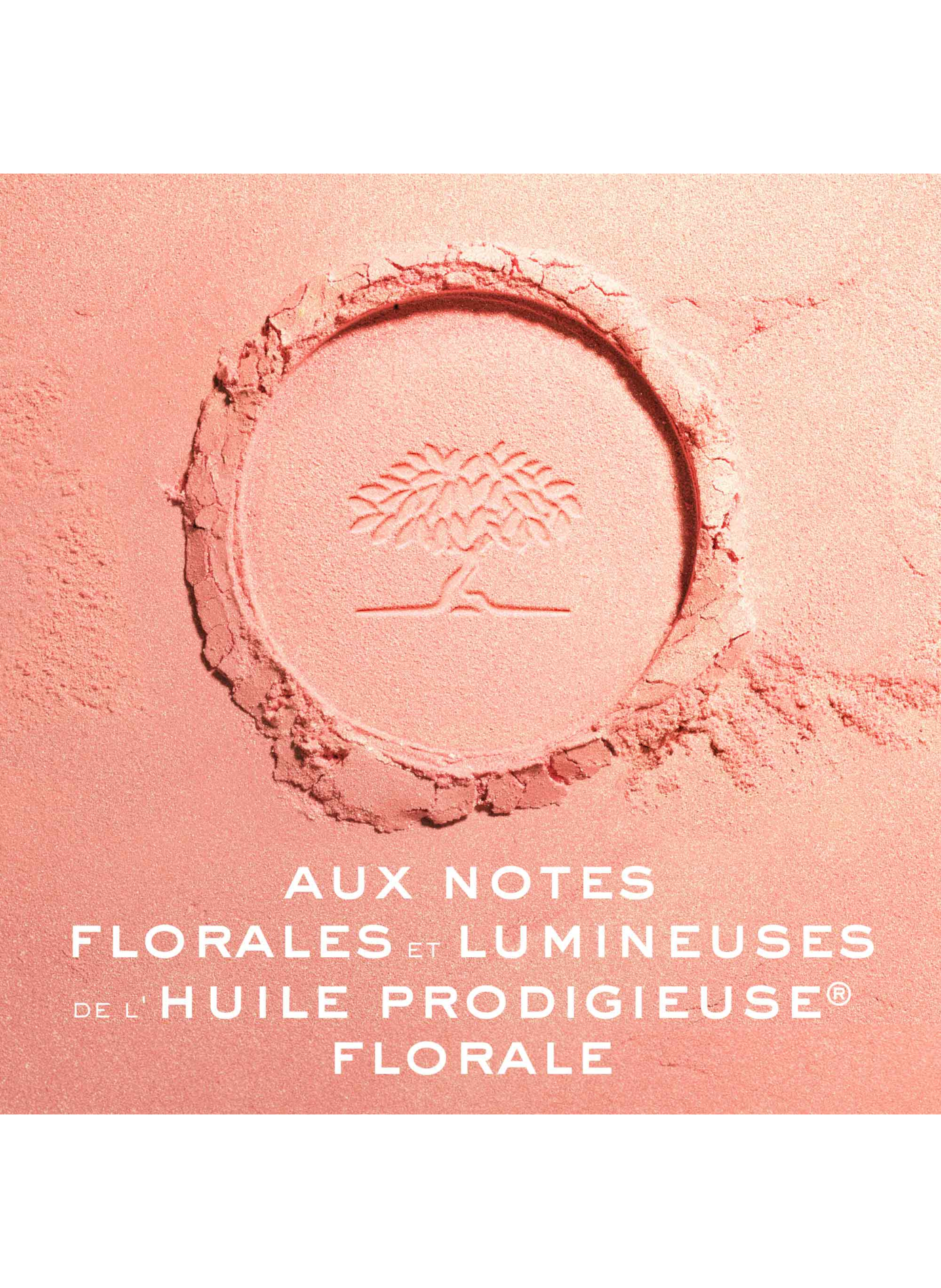Prodigieux® Floral Poudre Illuminatrice multi-usages NUXE No color