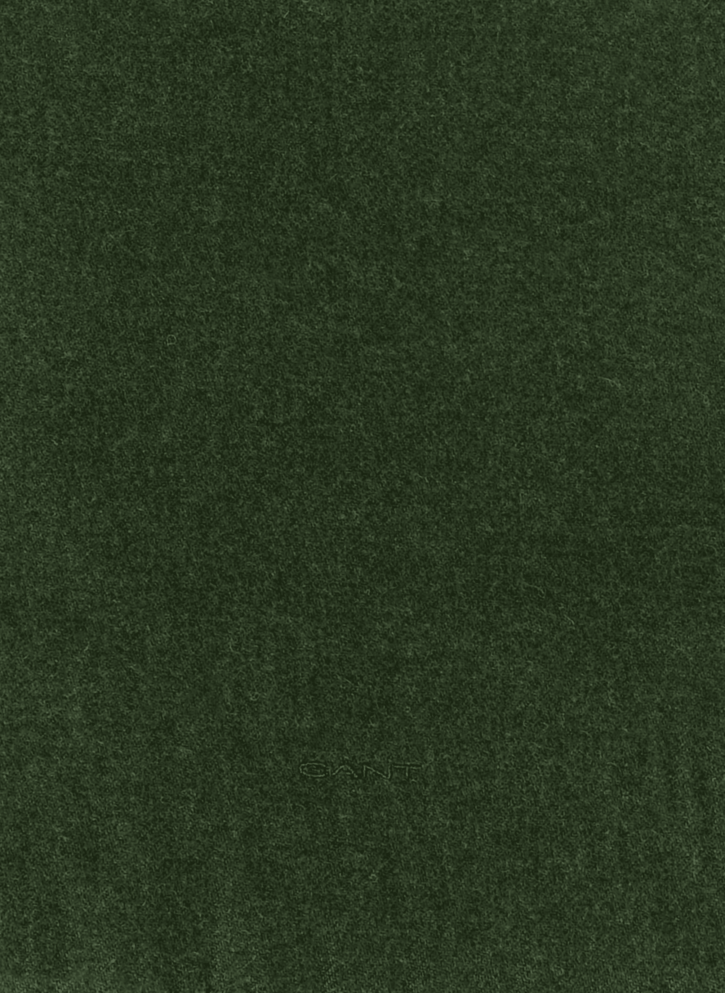 Fringed wool scarf GANT Green