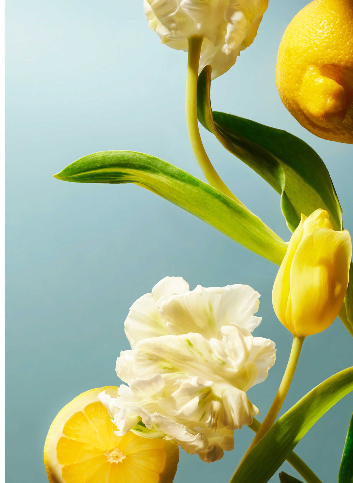 Amsterdam Collection - Coffret Corps & Bain Pâques RITUALS No color