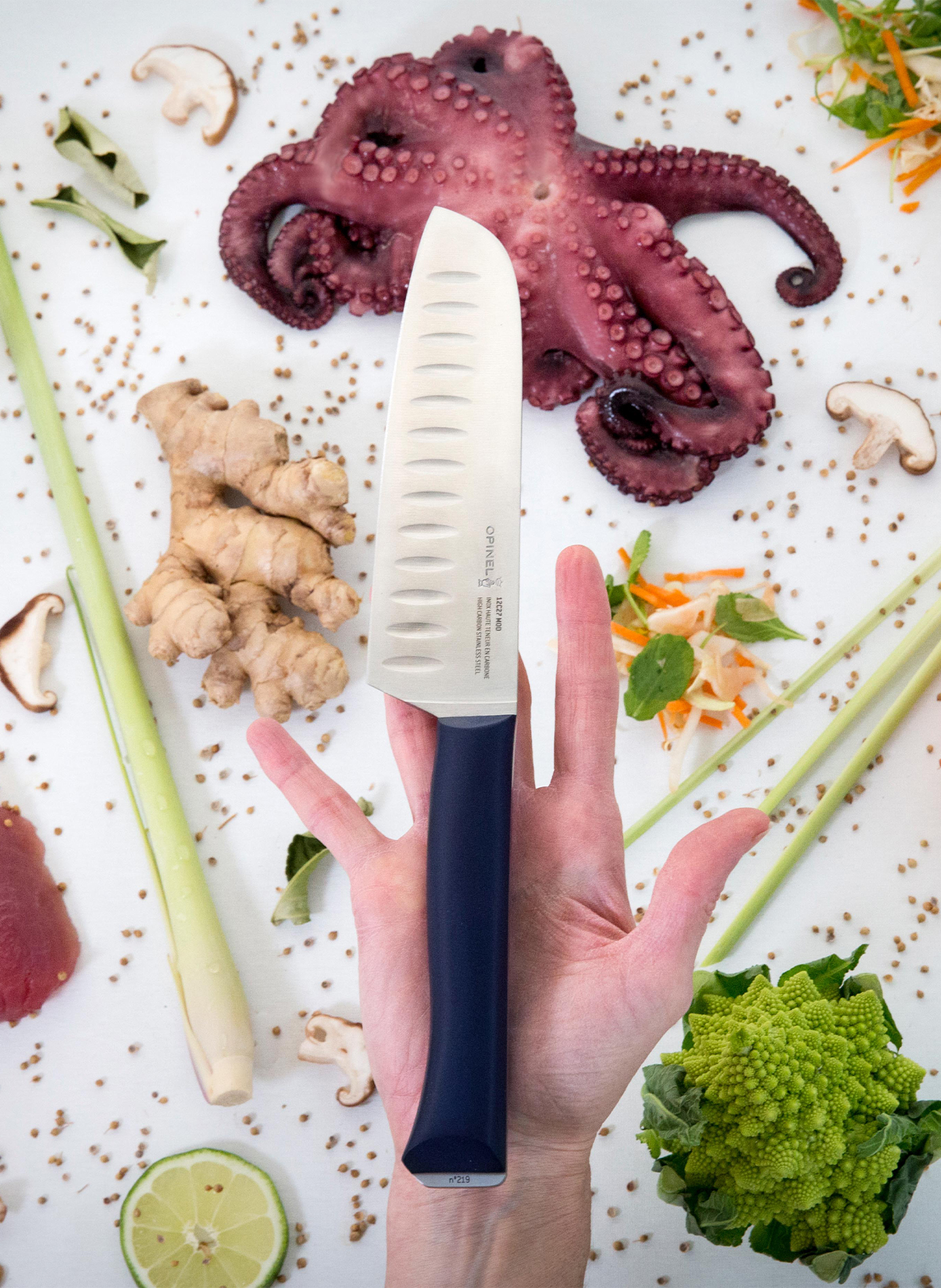 Couteau Santoku Intempora en acier inoxydable OPINEL Bleu