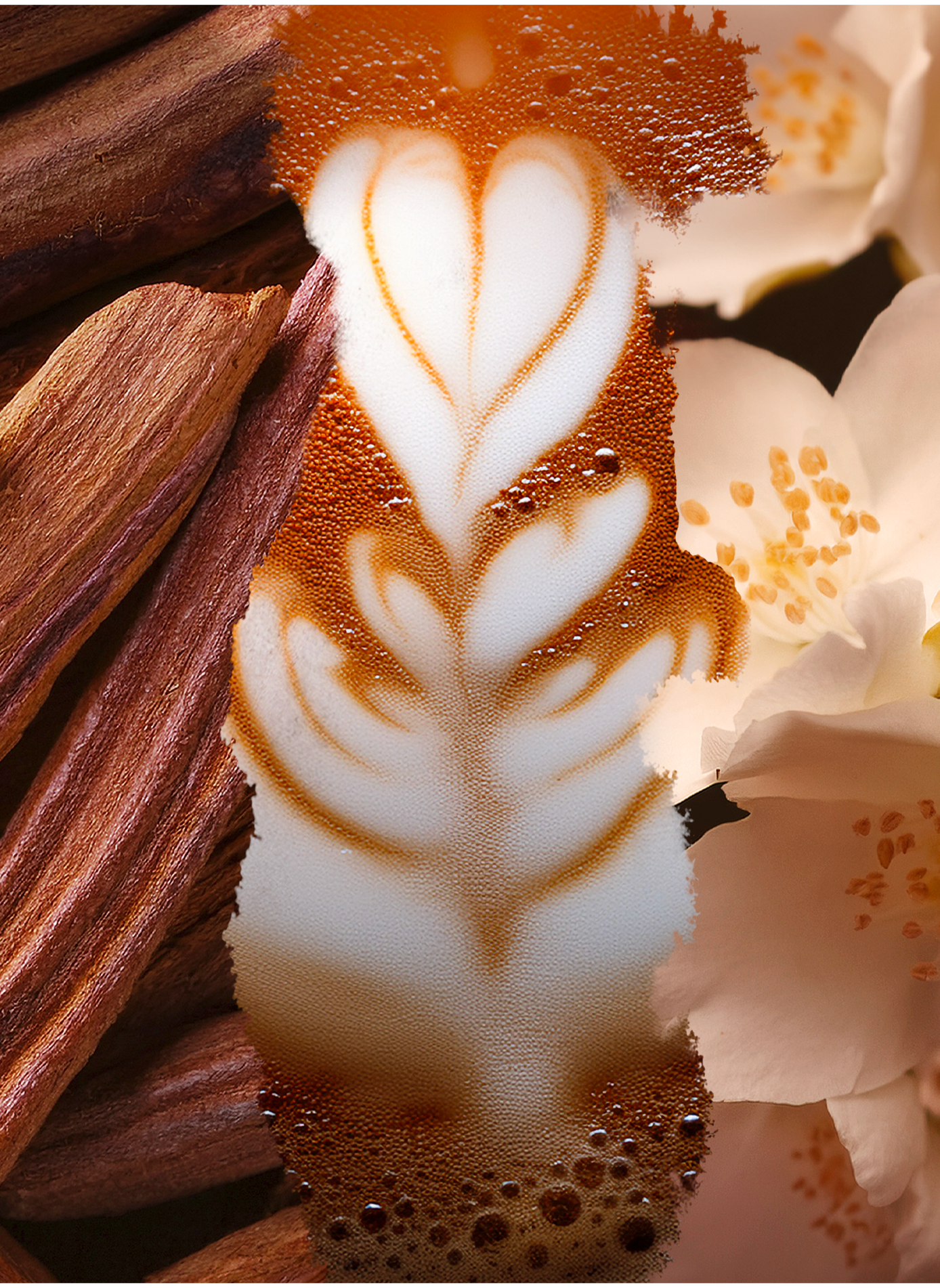 Eau de parfum - Sweet Insomnia L'ATELIER PARFUM No color