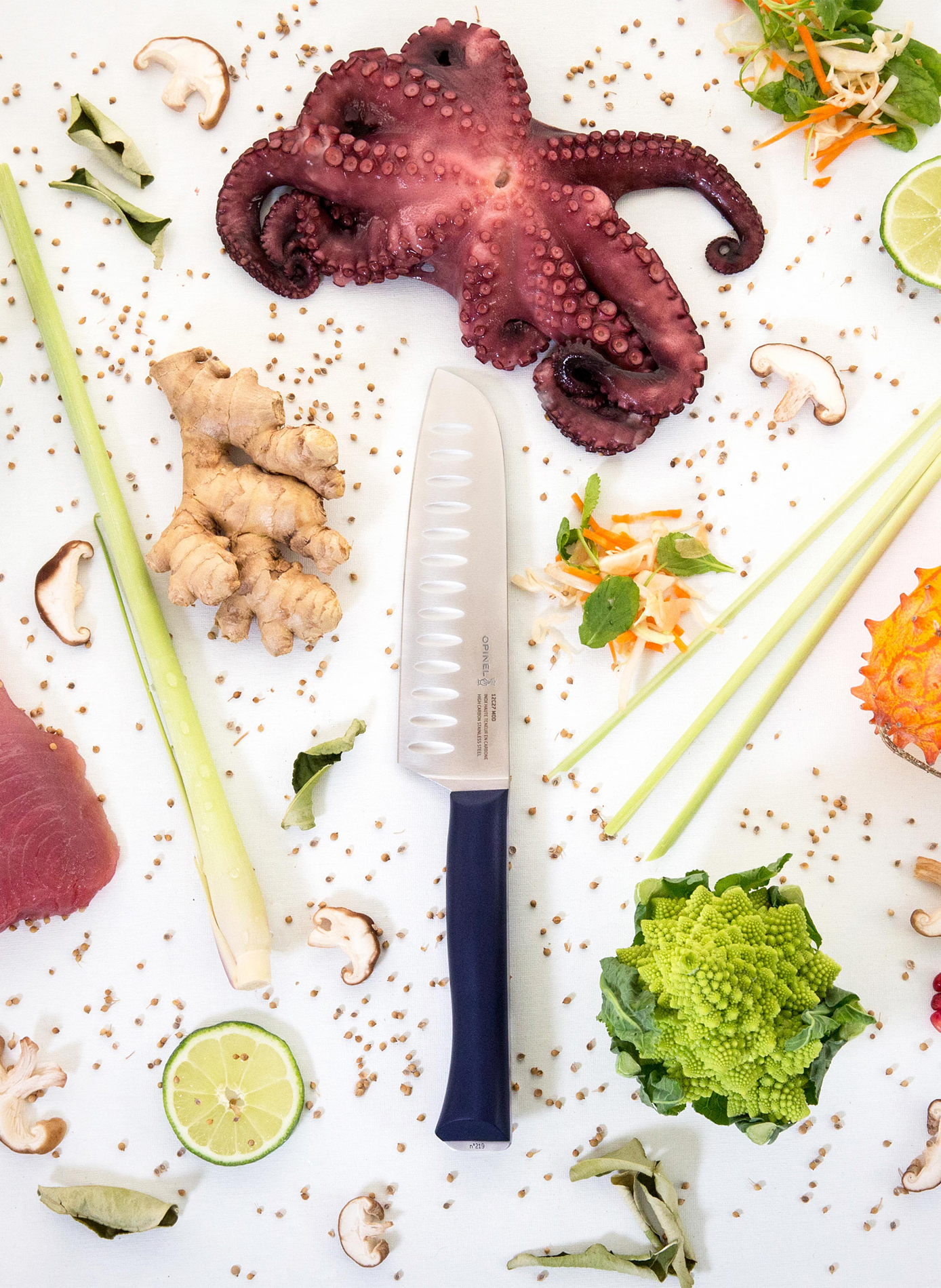 Couteau Santoku Intempora en acier inoxydable OPINEL Bleu