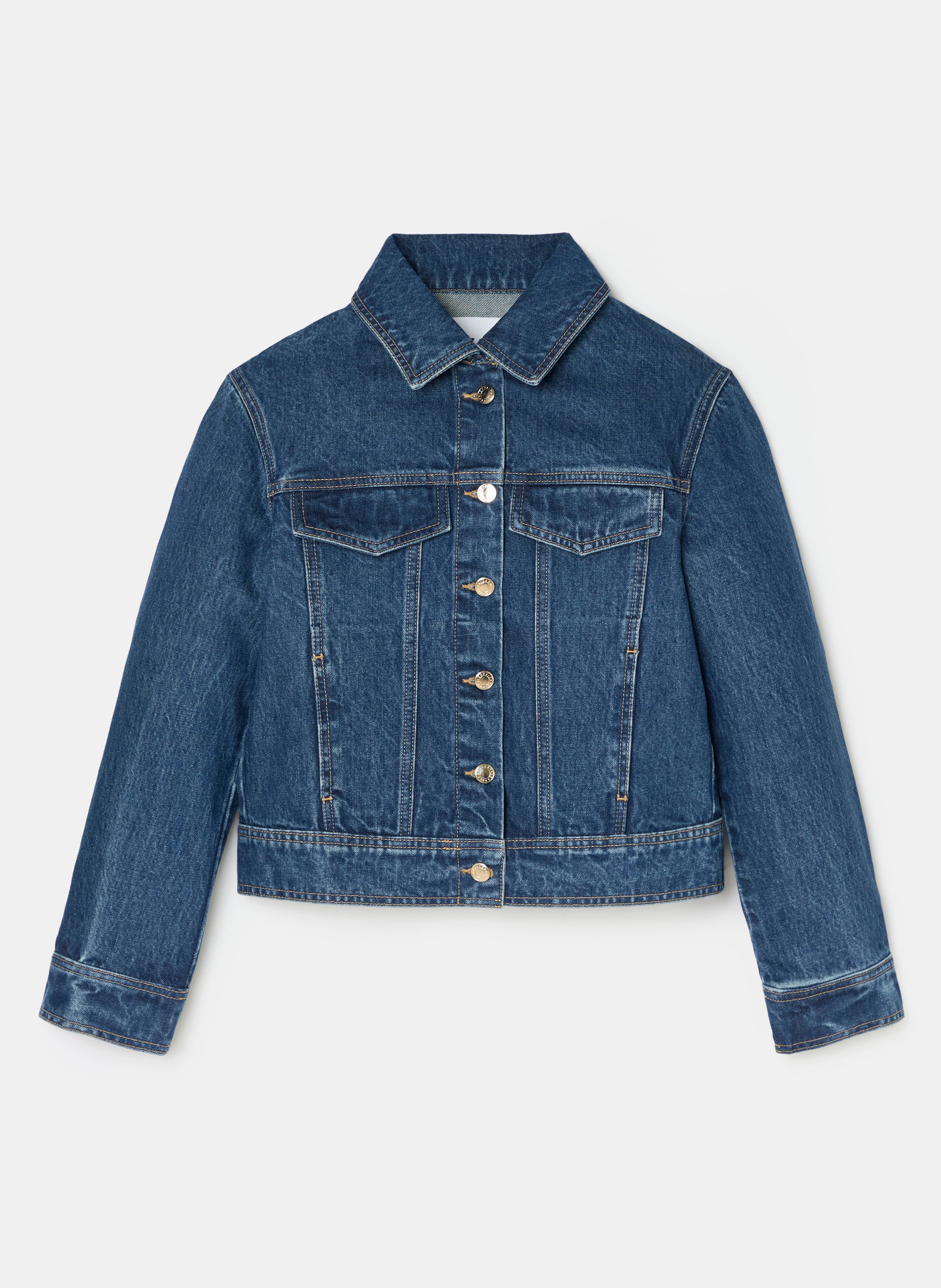 Veste  monge ZAPA Bleu