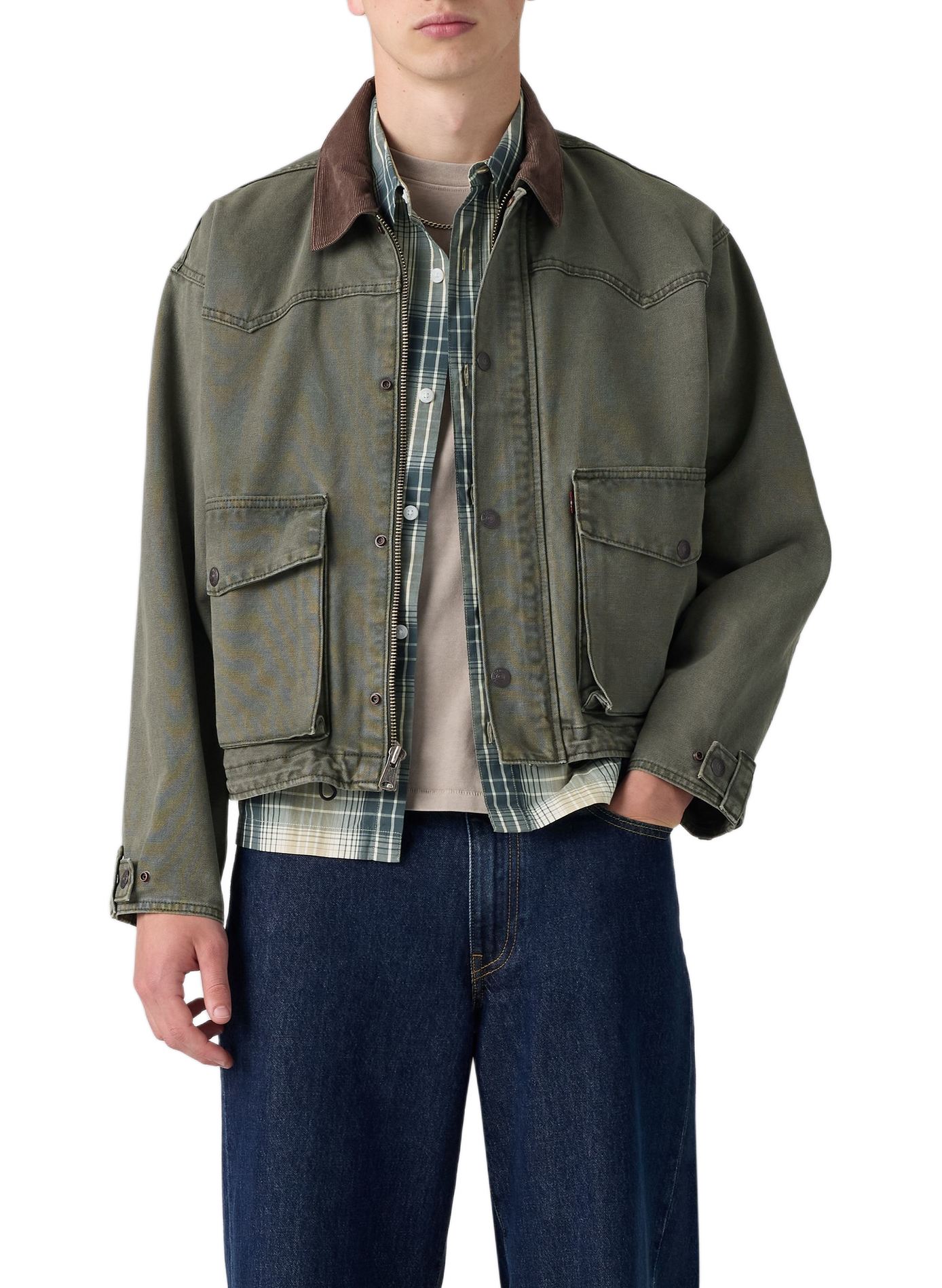 Jacke mit klassischem Baumwollkragen LEVI'S Grun