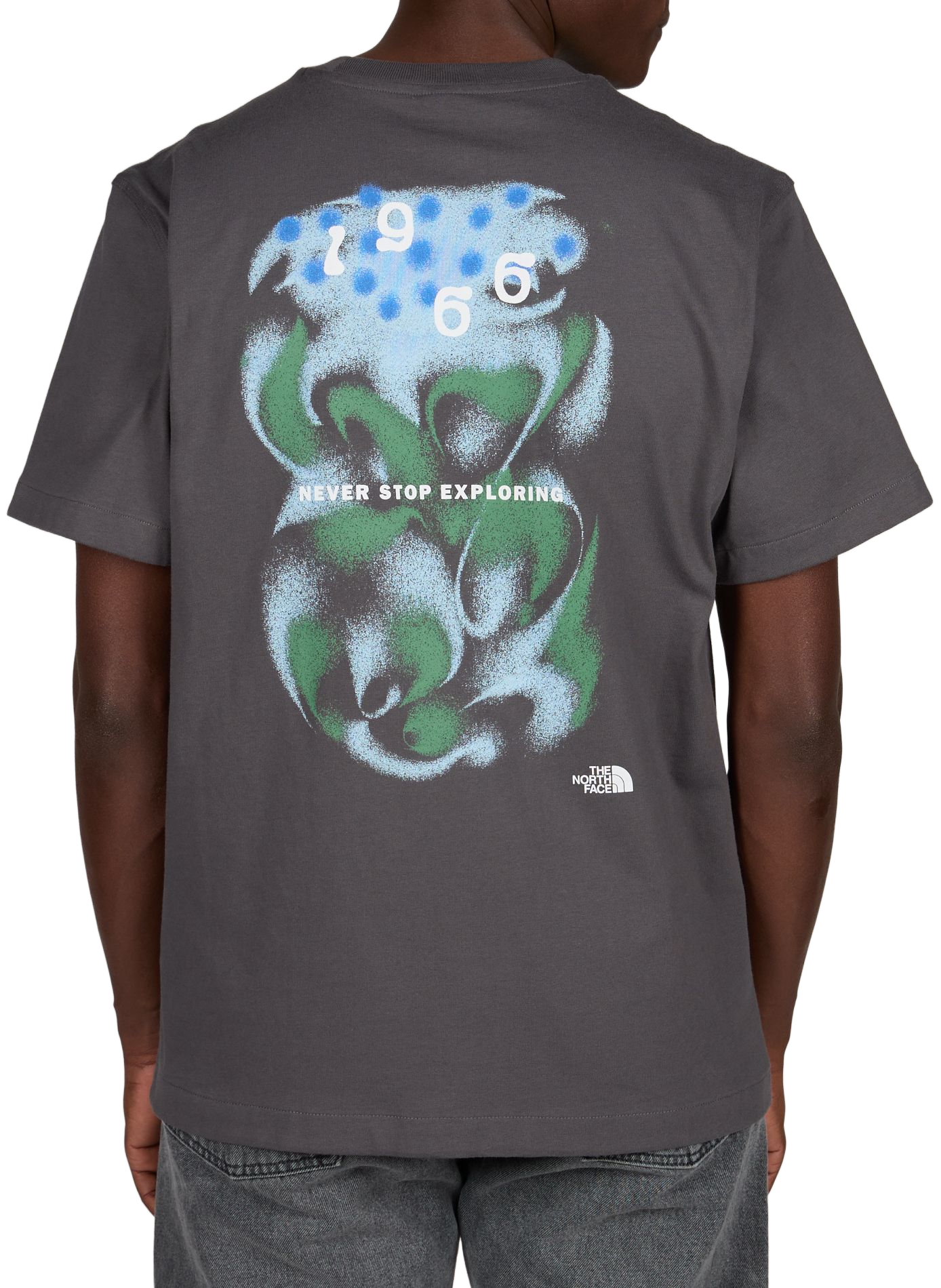 Round neck straight fit cotton T-shirt with screen printing THE NORTH FACE Grey