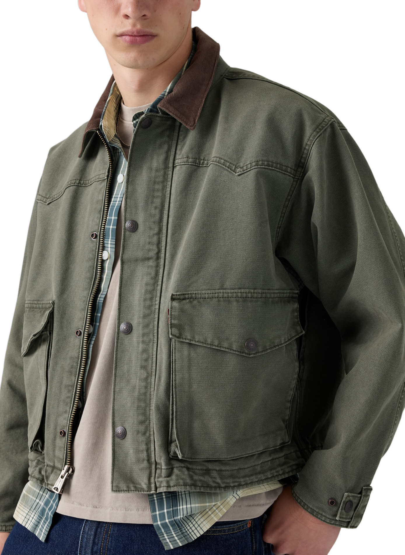 Jacke mit klassischem Baumwollkragen LEVI'S Grun