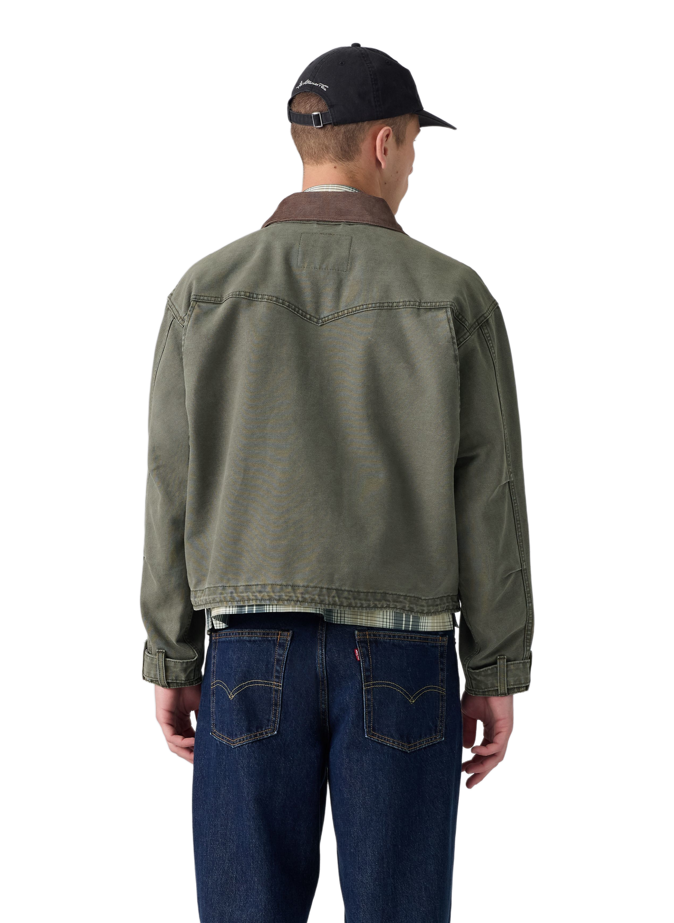 Jacke mit klassischem Baumwollkragen LEVI'S Grun