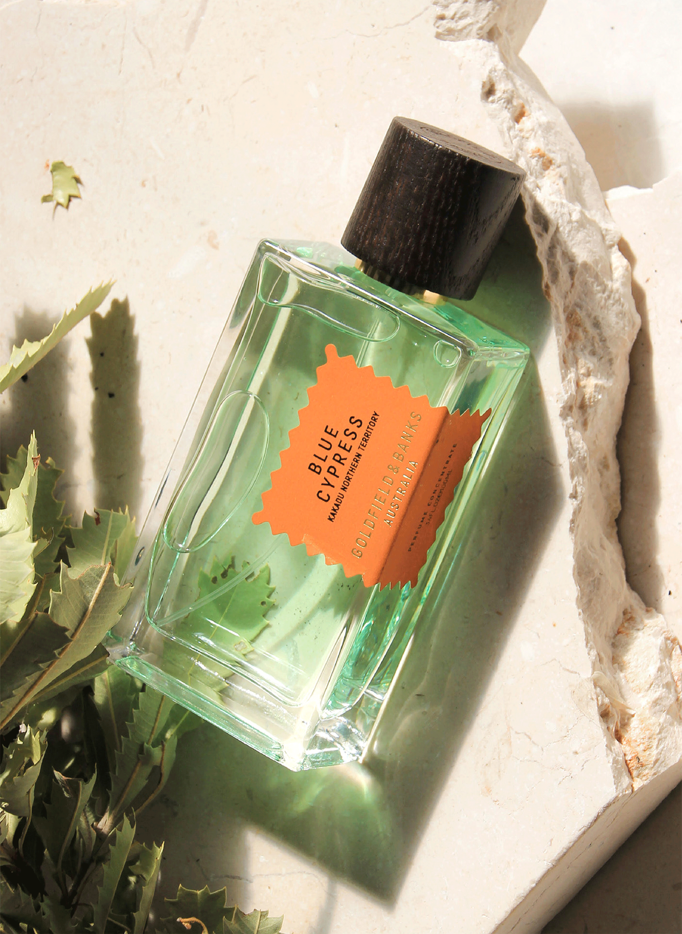 Eau de parfum - Blue Cypress GOLDFIELD & BANKS No color