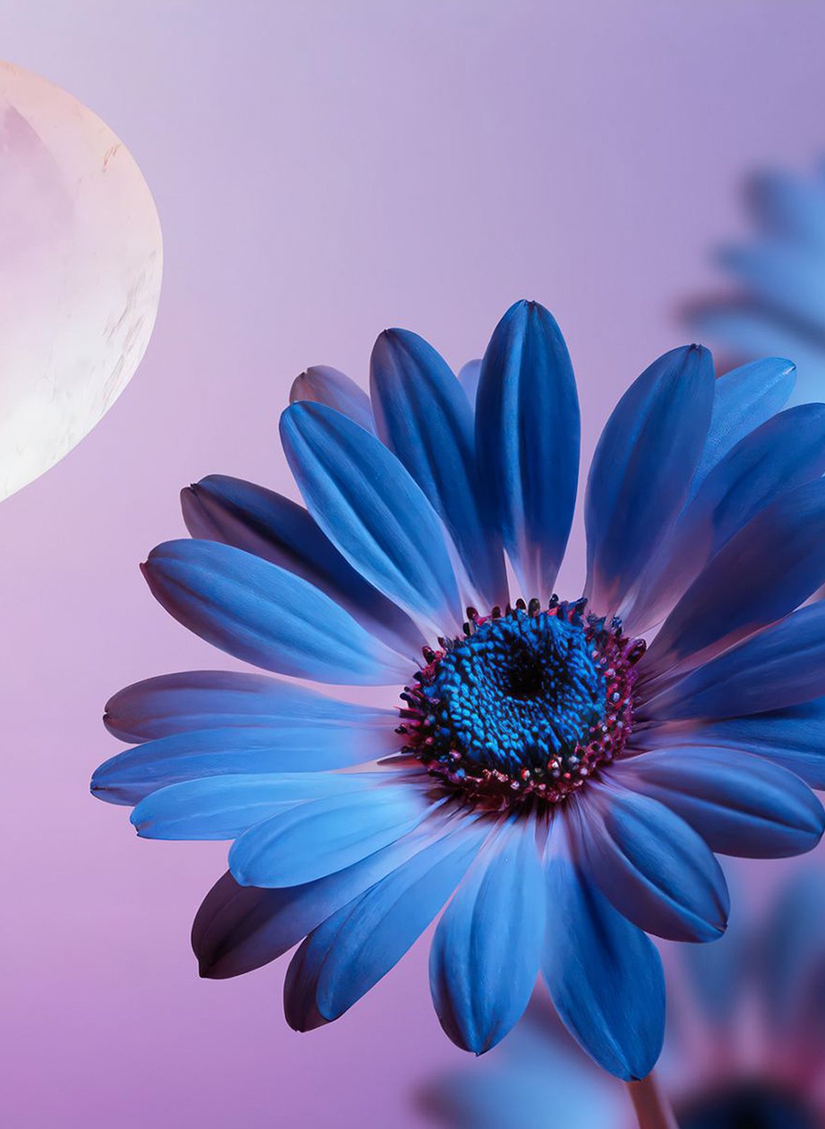 The Dream Collection - Mousse hydratante corps RITUALS No color