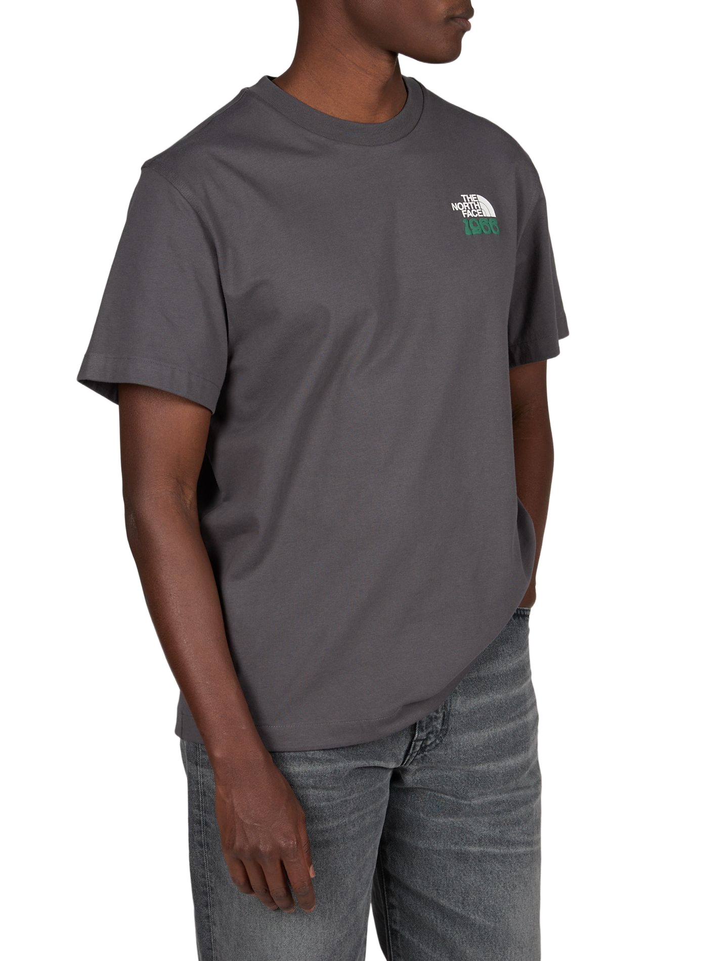 Round neck straight fit cotton T-shirt with screen printing THE NORTH FACE Grey