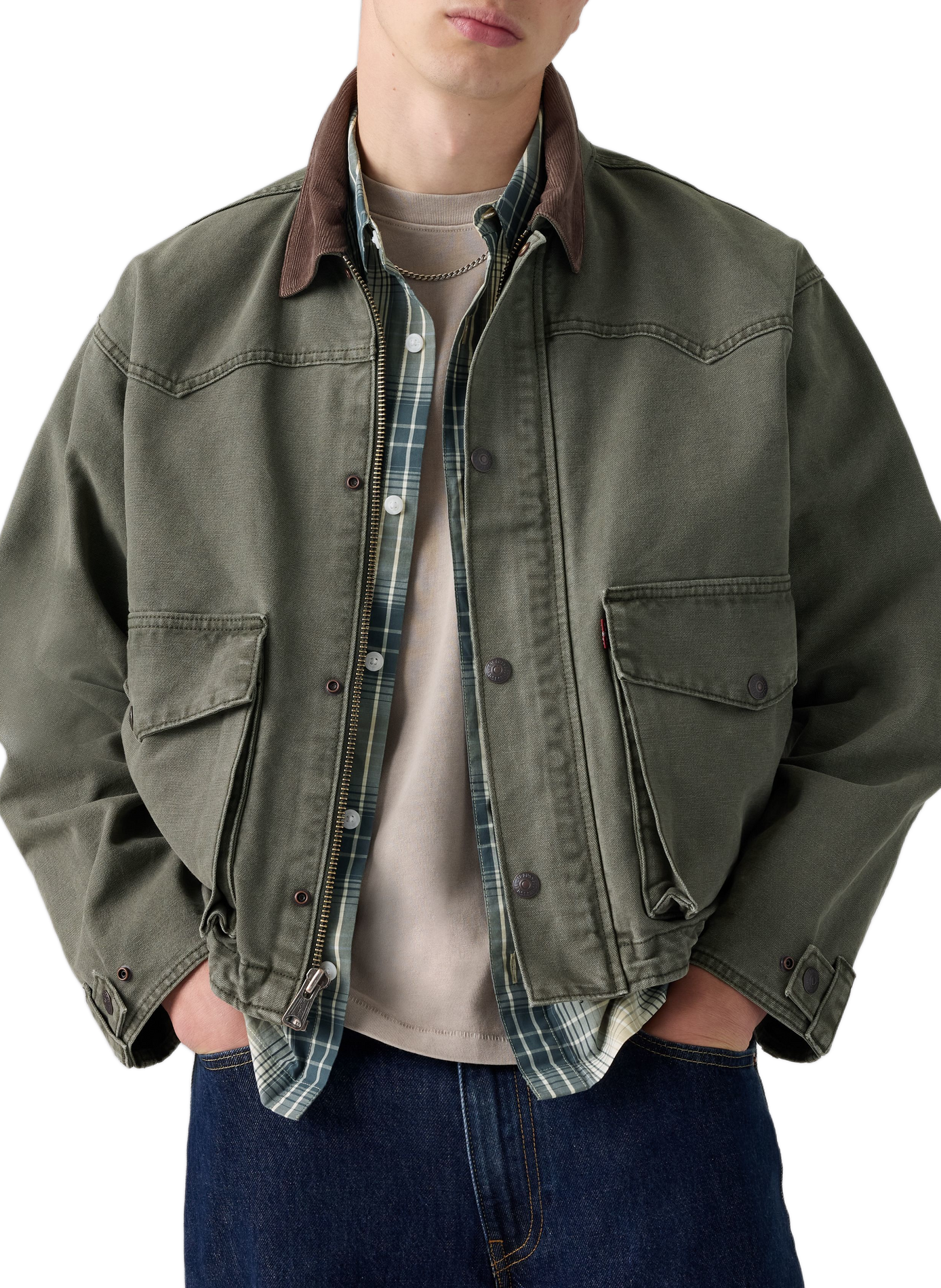 Jacke mit klassischem Baumwollkragen LEVI'S Grun