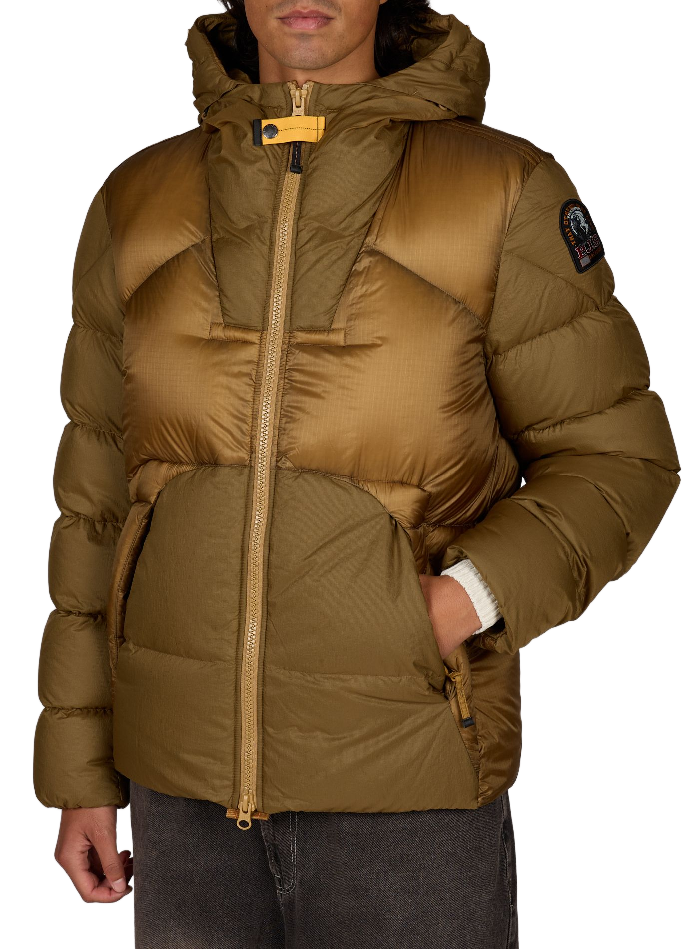 Gewatteerde jas met capuchon van Notig. PARAJUMPERS Goud