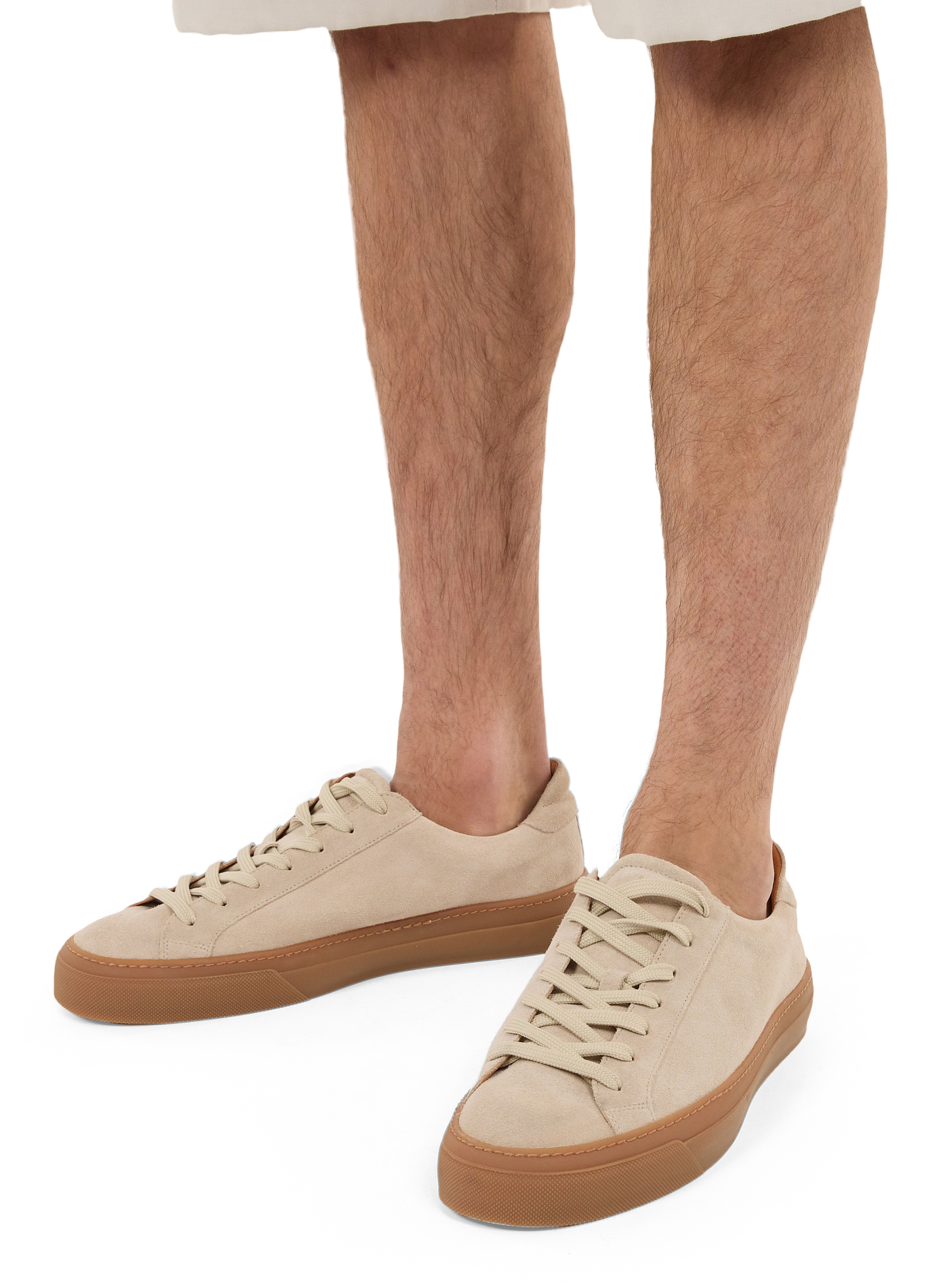 Baskets en cuir suédé SAISON 1865 Beige