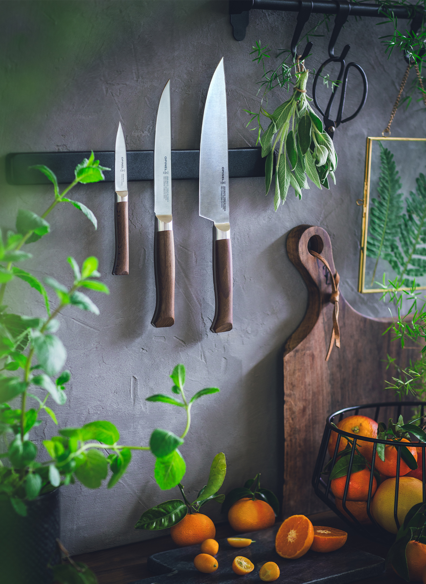 Set aus 3 Küchenmessern Les Forgés OPINEL Braun